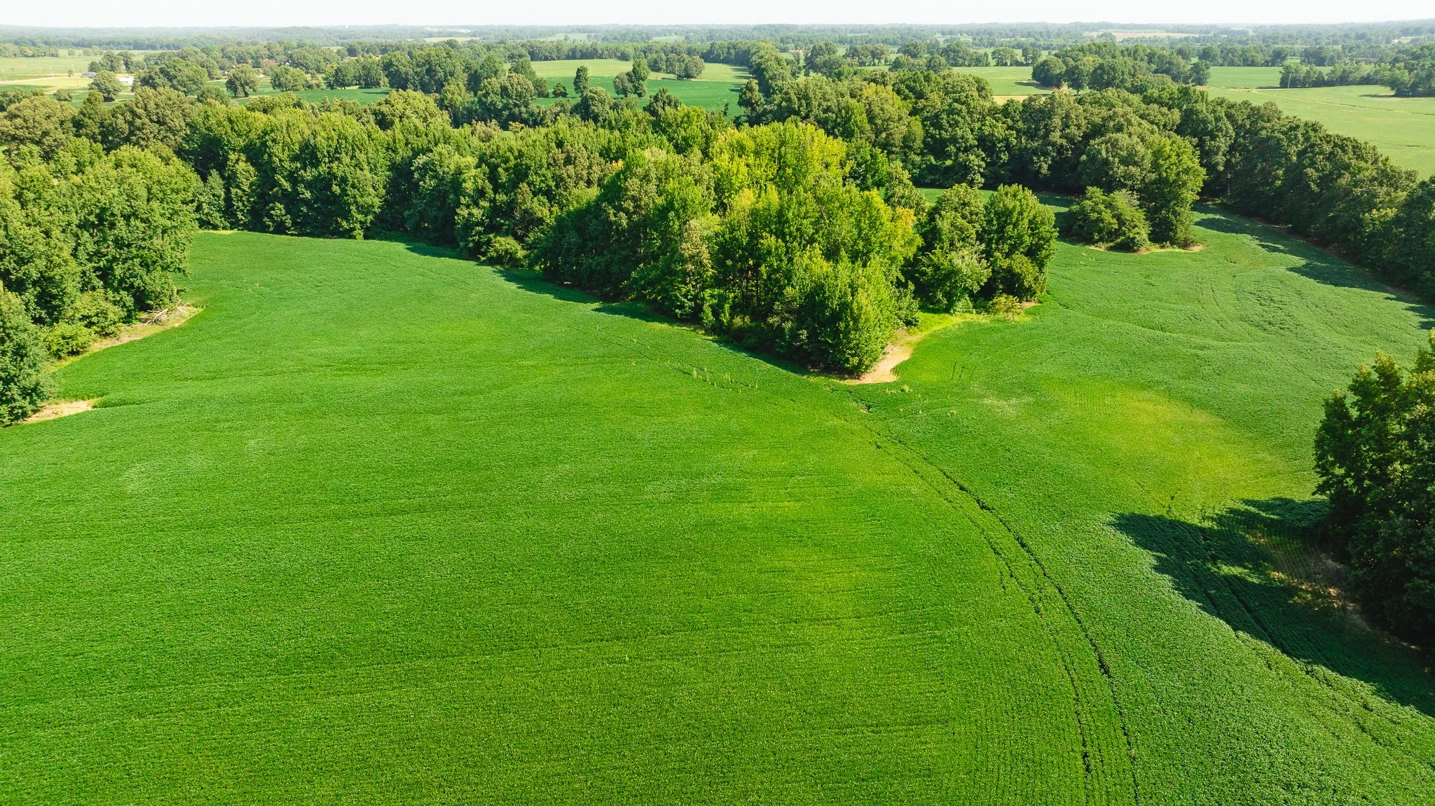 DJI_20260810170746_0102_D.jpg