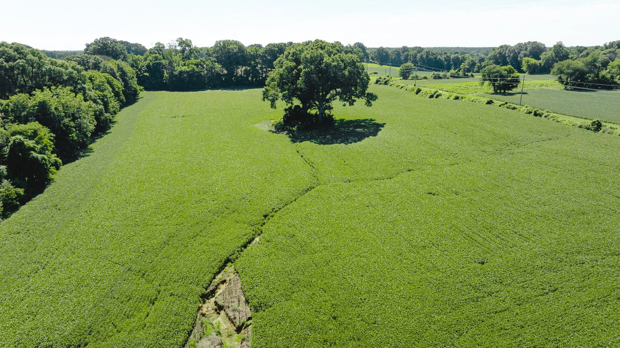 DJI_20260614170302_0013_D.jpg