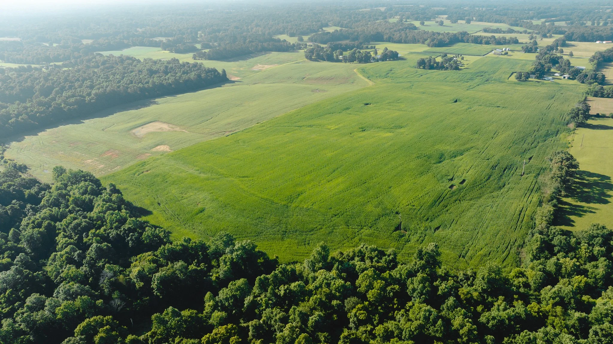 DJI_20260621152511_0041_D.jpg