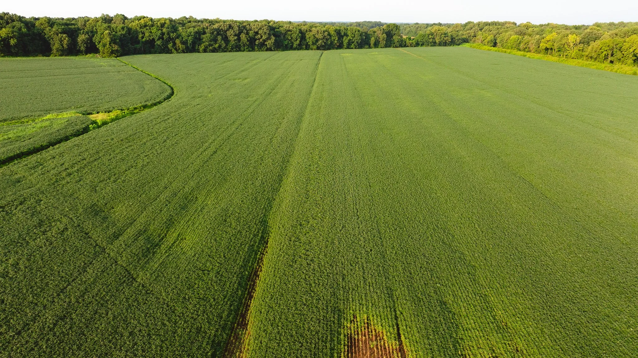 DJI_20260729143808_0056_D.jpg