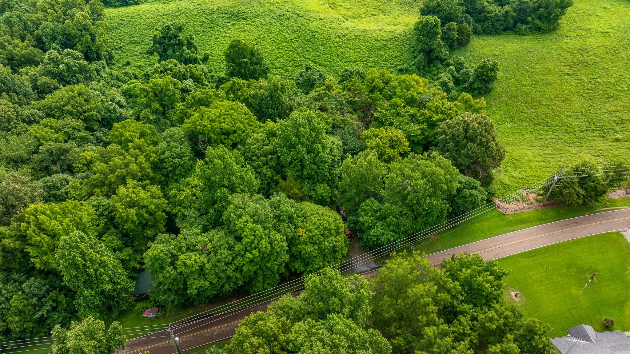 DJI_20260713163413_0156_D.jpg