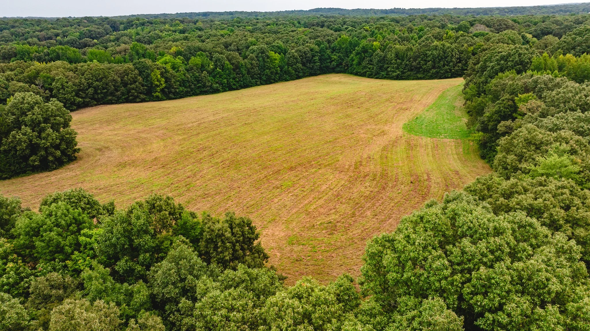 DJI_20260817172328_0028_D.jpg