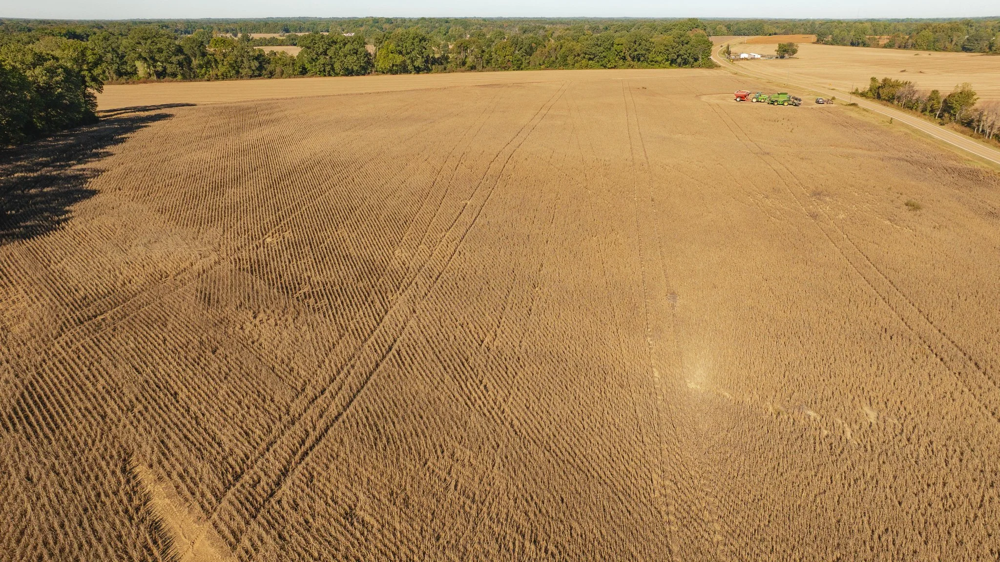 dji_fly_20261018_163620_0092_1792519577331_photo.jpg