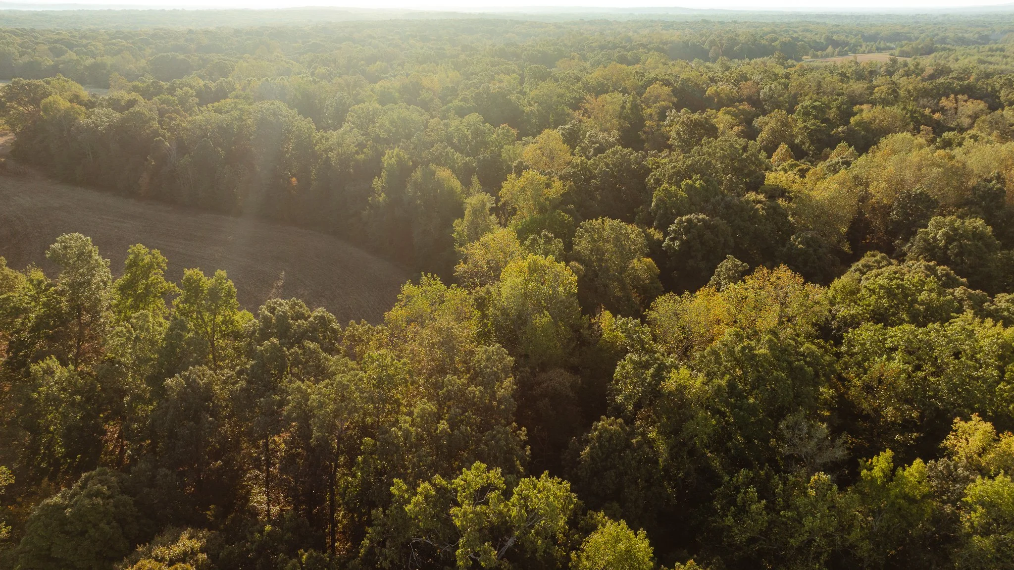 DJI_20261007150803_0020_D.jpg
