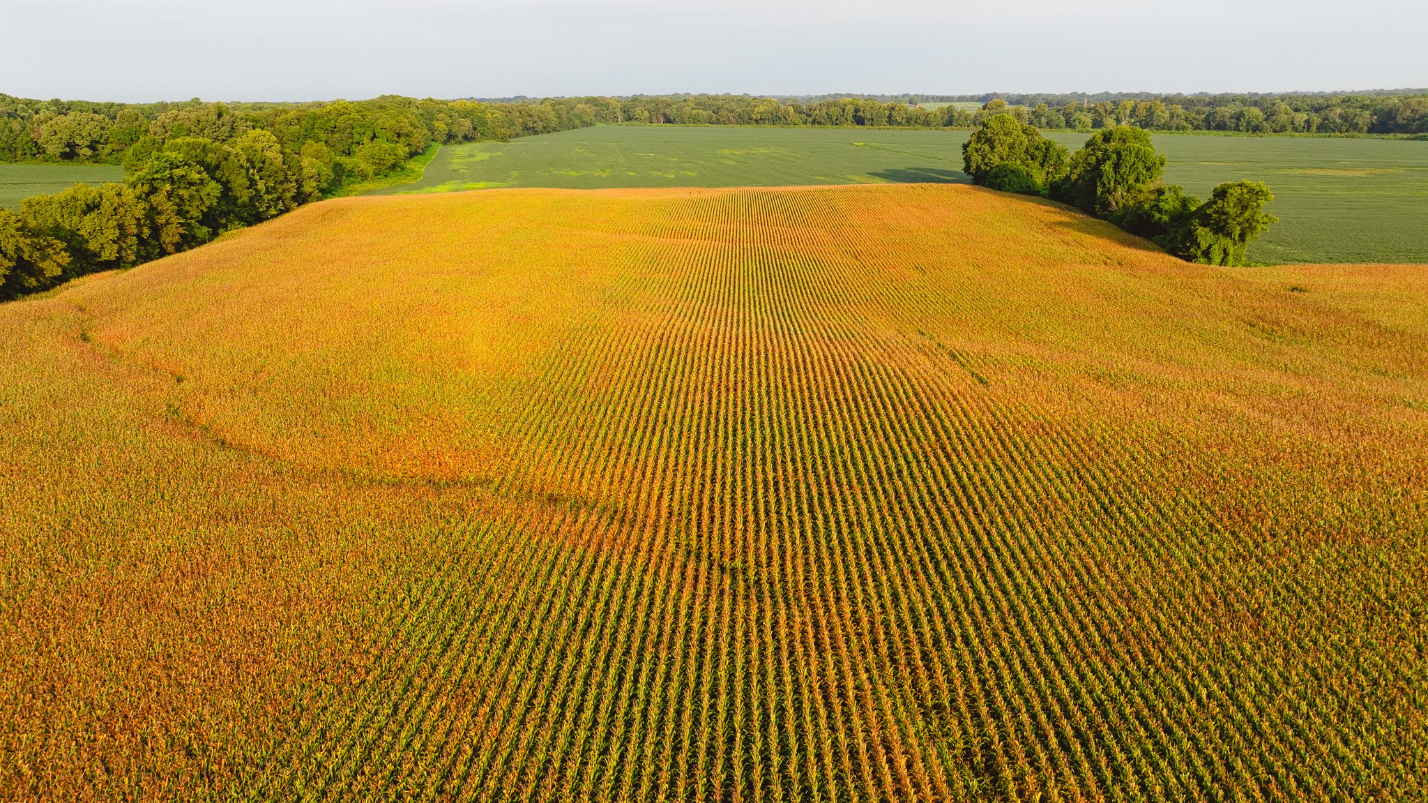 DJI_20260729143547_0049_D.jpg