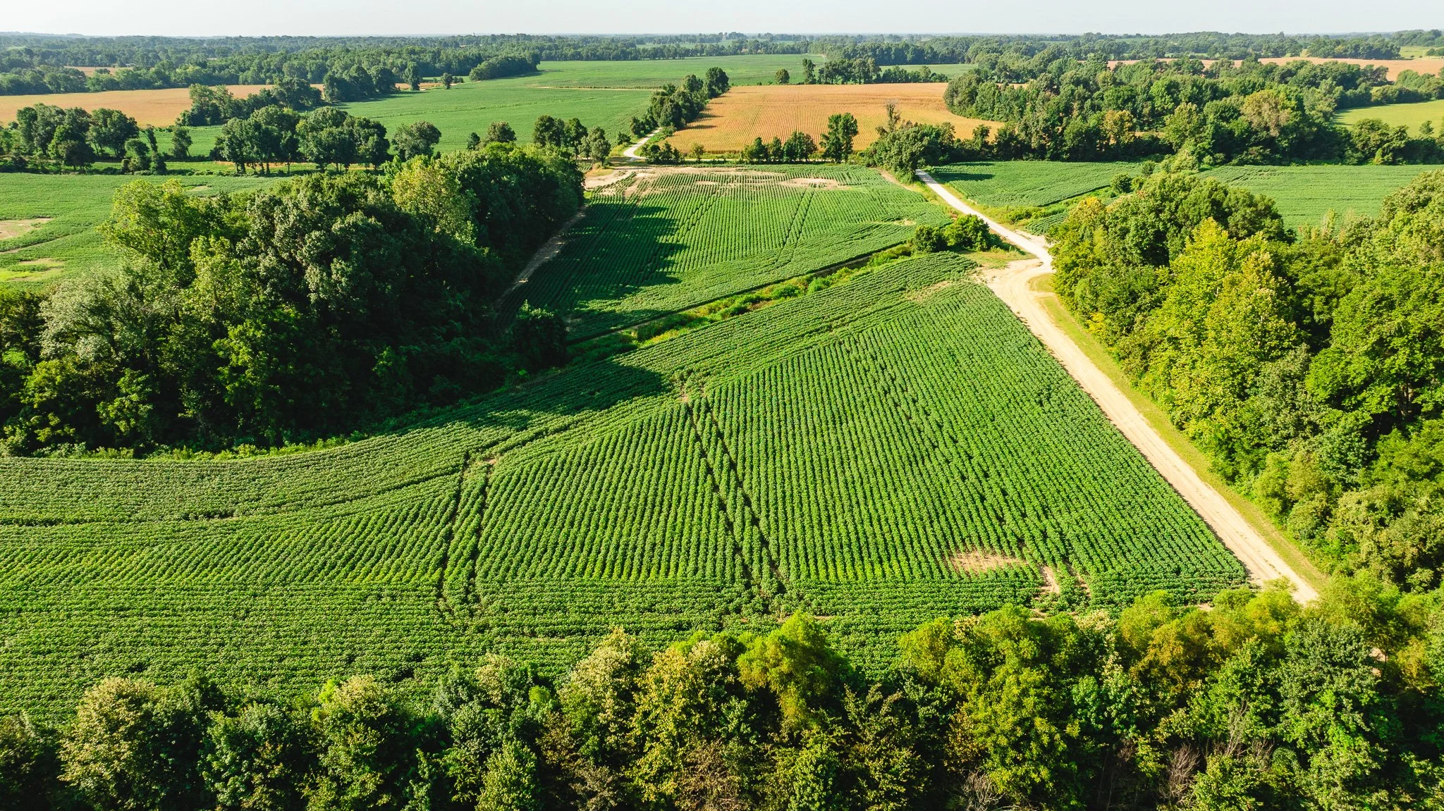 DJI_20260810161139_0059_D.jpg