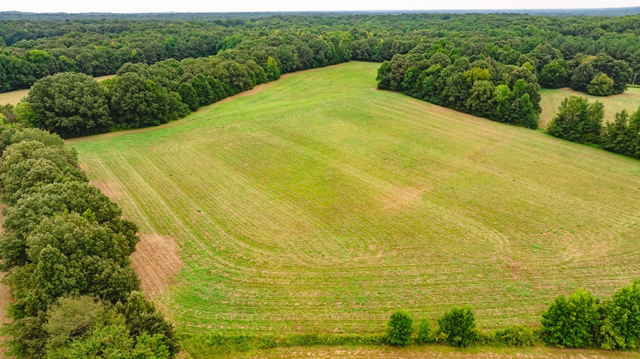 DJI_20260817172431_0029_D.jpg