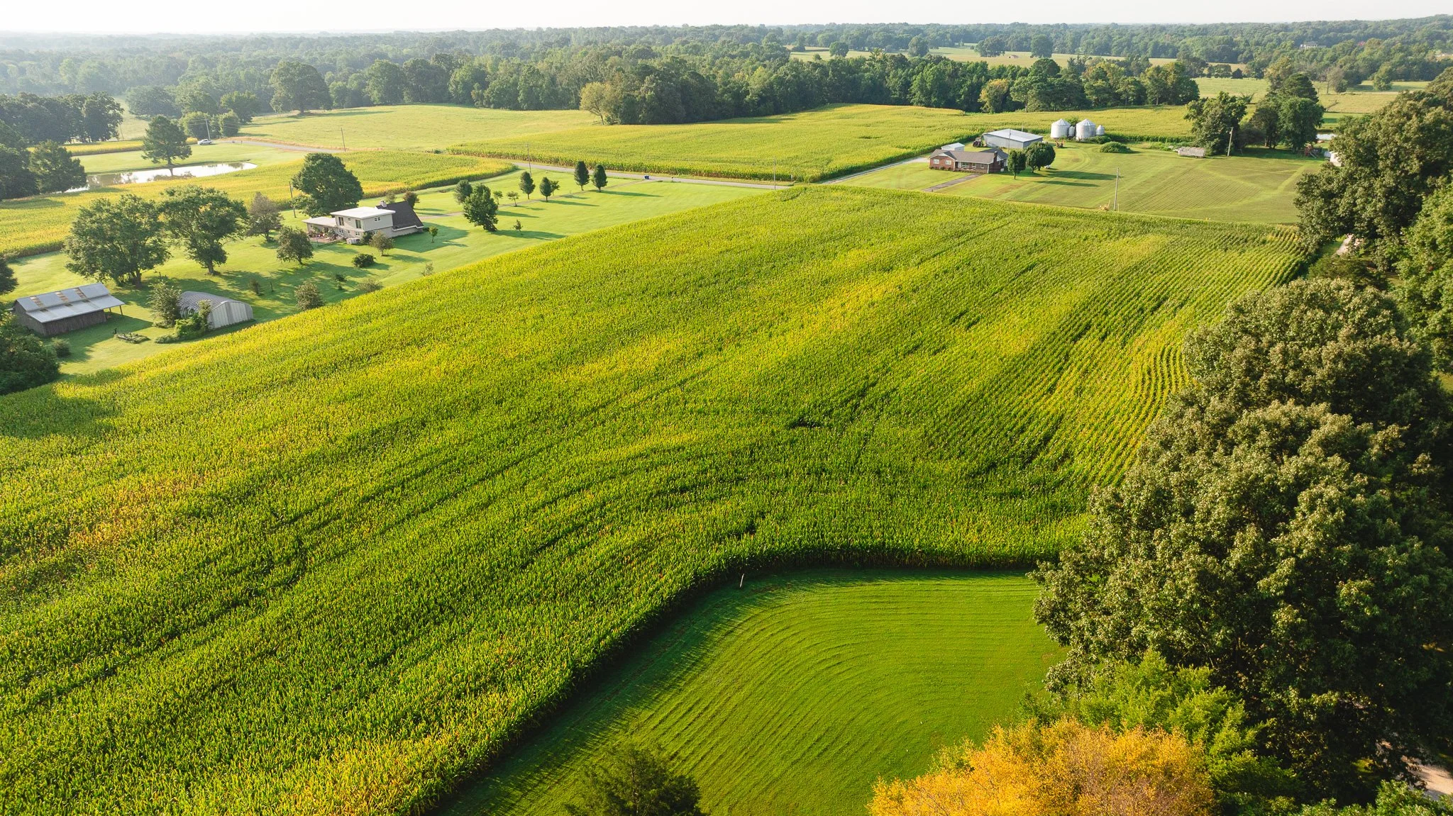DJI_20260804151506_0052_D.jpg