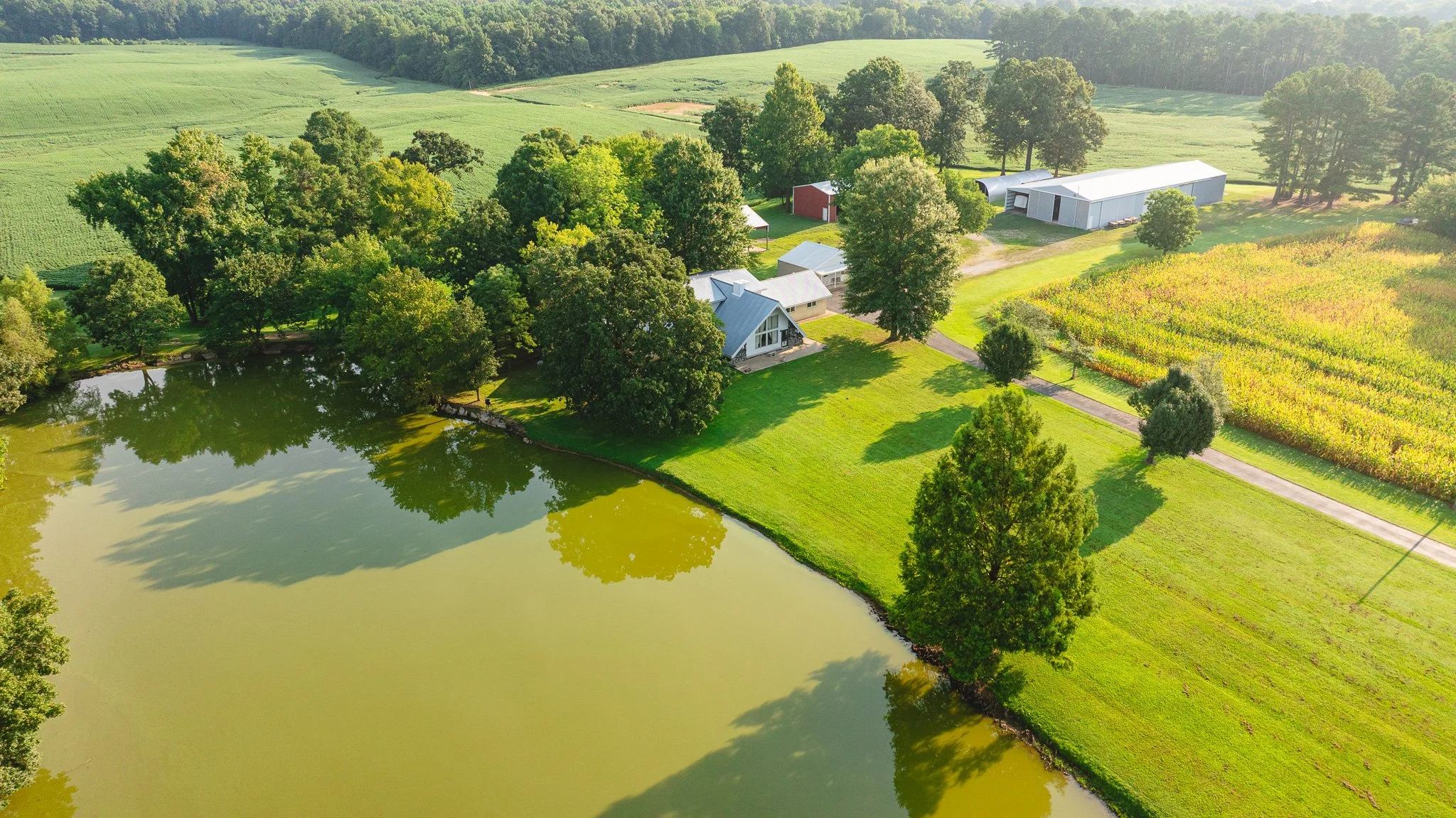 DJI_20260804152515_0081_D.jpg