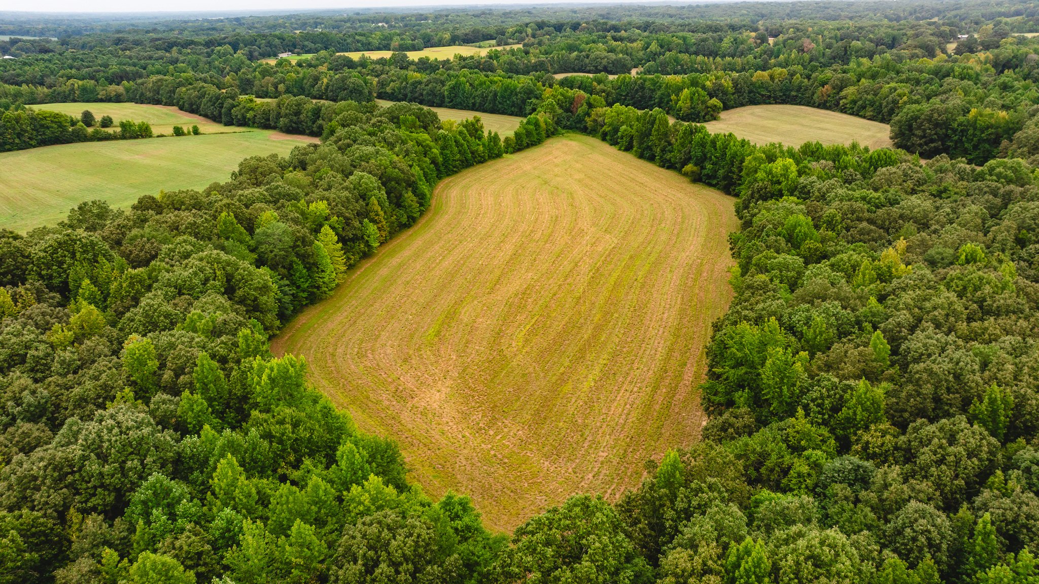 DJI_20260817172234_0024_D.jpg