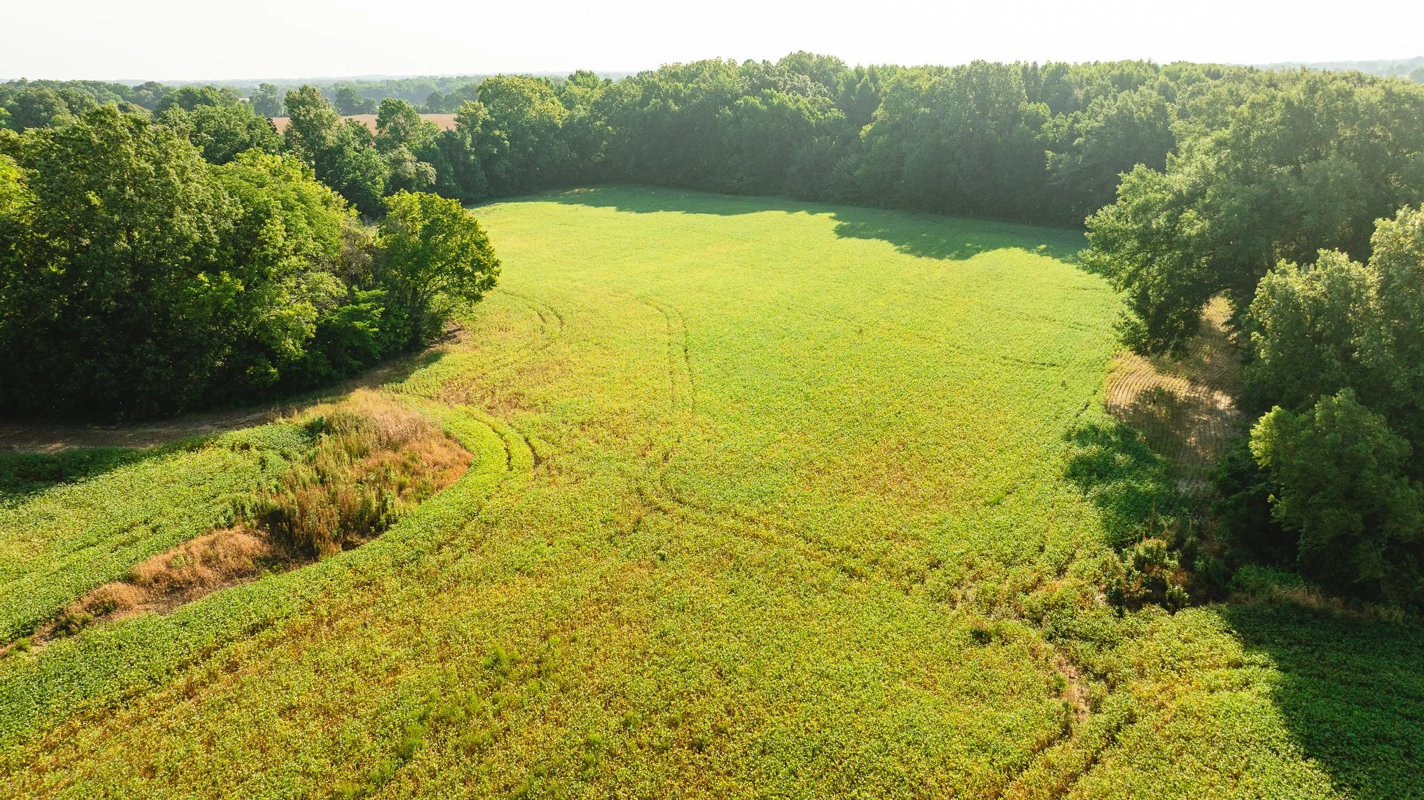DJI_20260810155550_0041_D.jpg