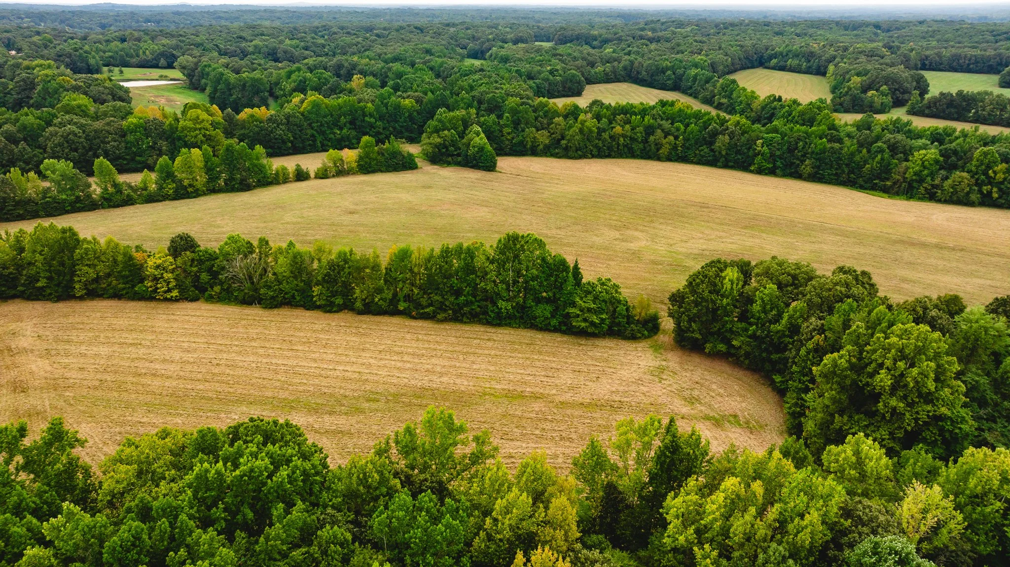 DJI_20260817171531_0010_D.jpg
