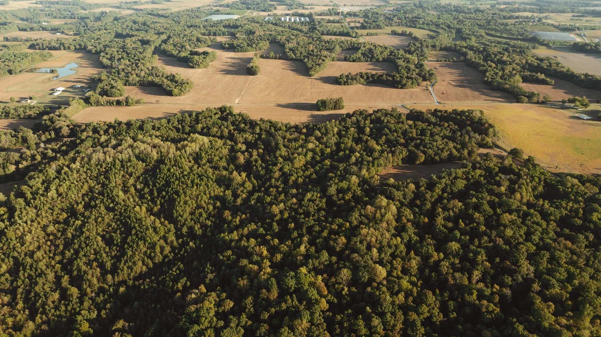 DJI_20261007145705_0001_D.jpg