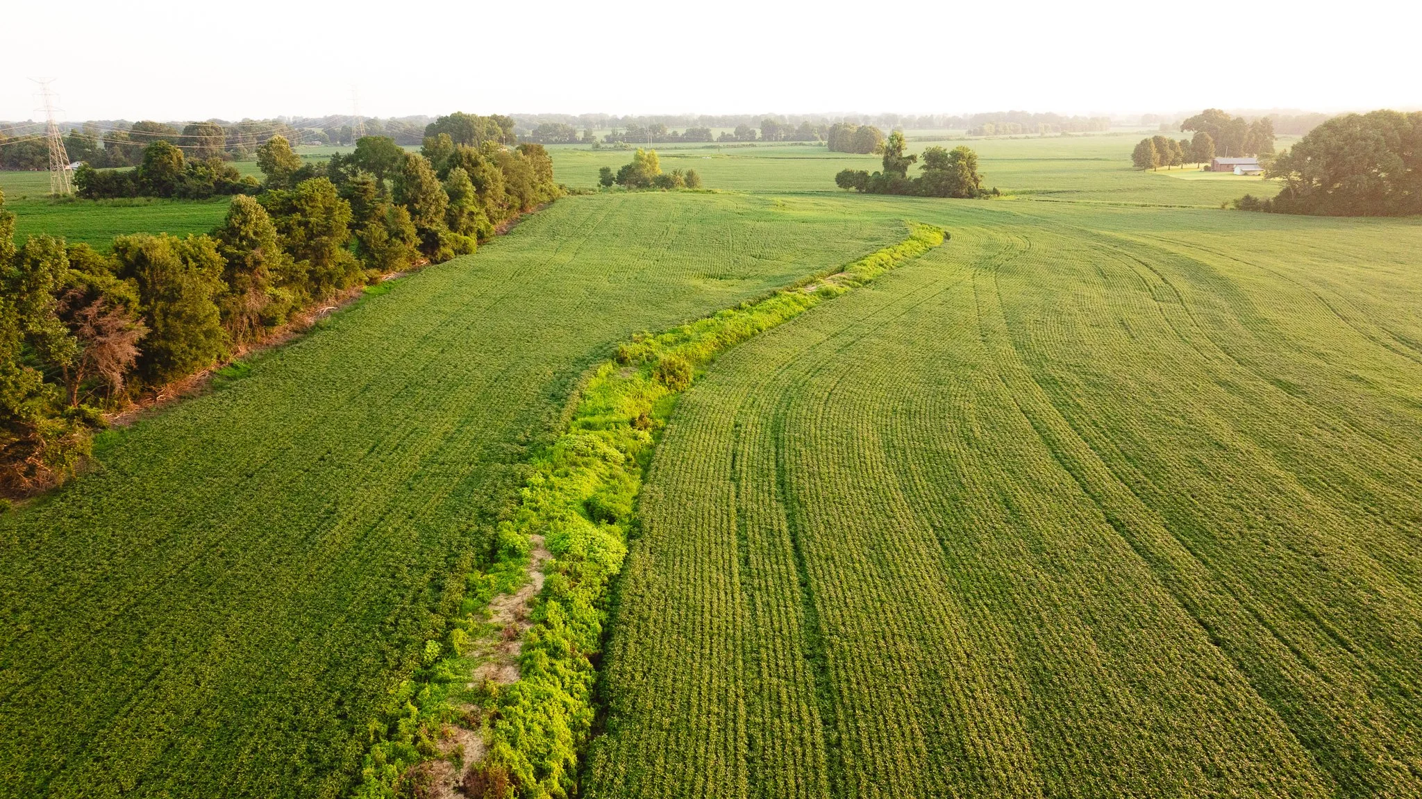 DJI_20260726135500_0027_D.jpg