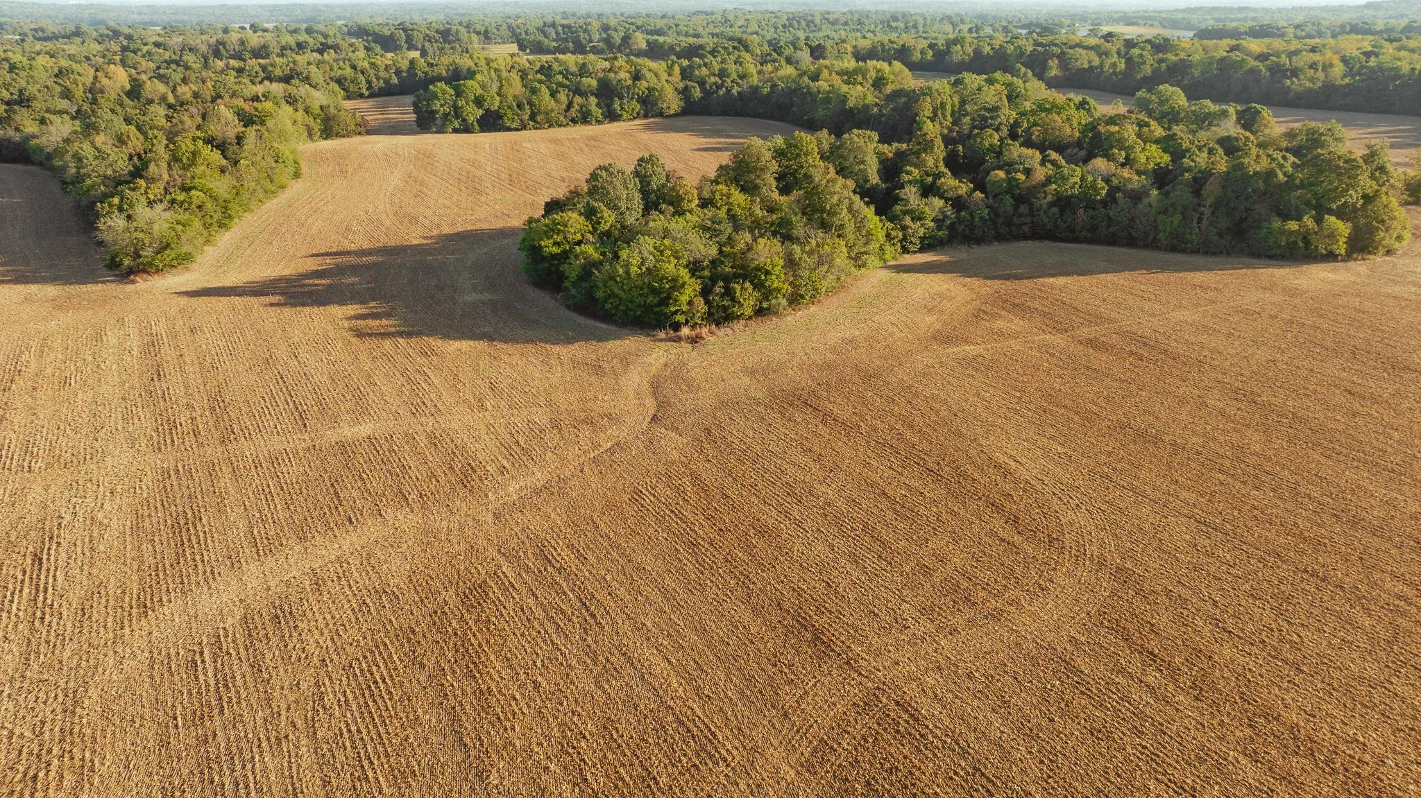 DJI_20261007150854_0023_D.jpg