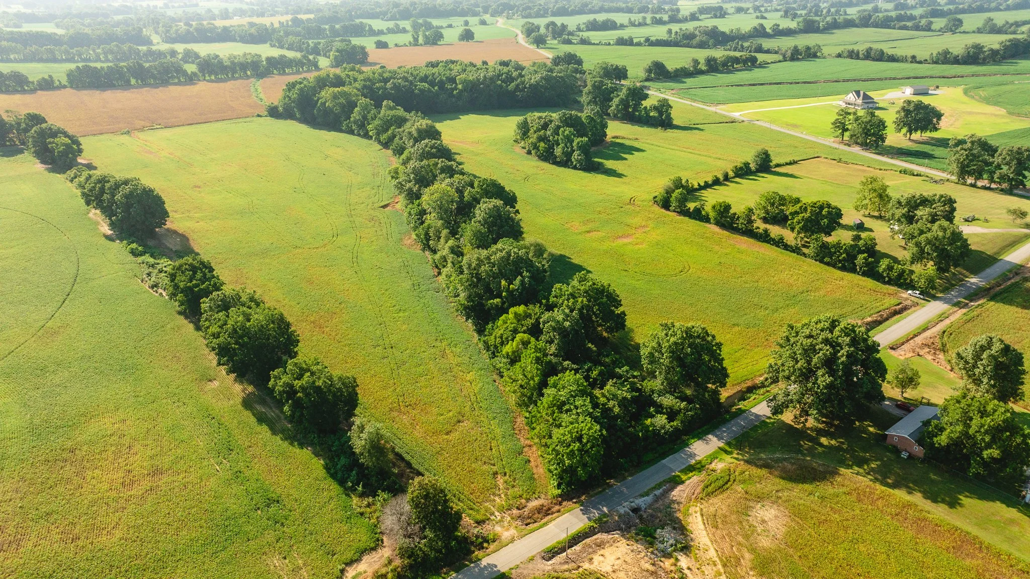 DJI_20260810155935_0049_D.jpg