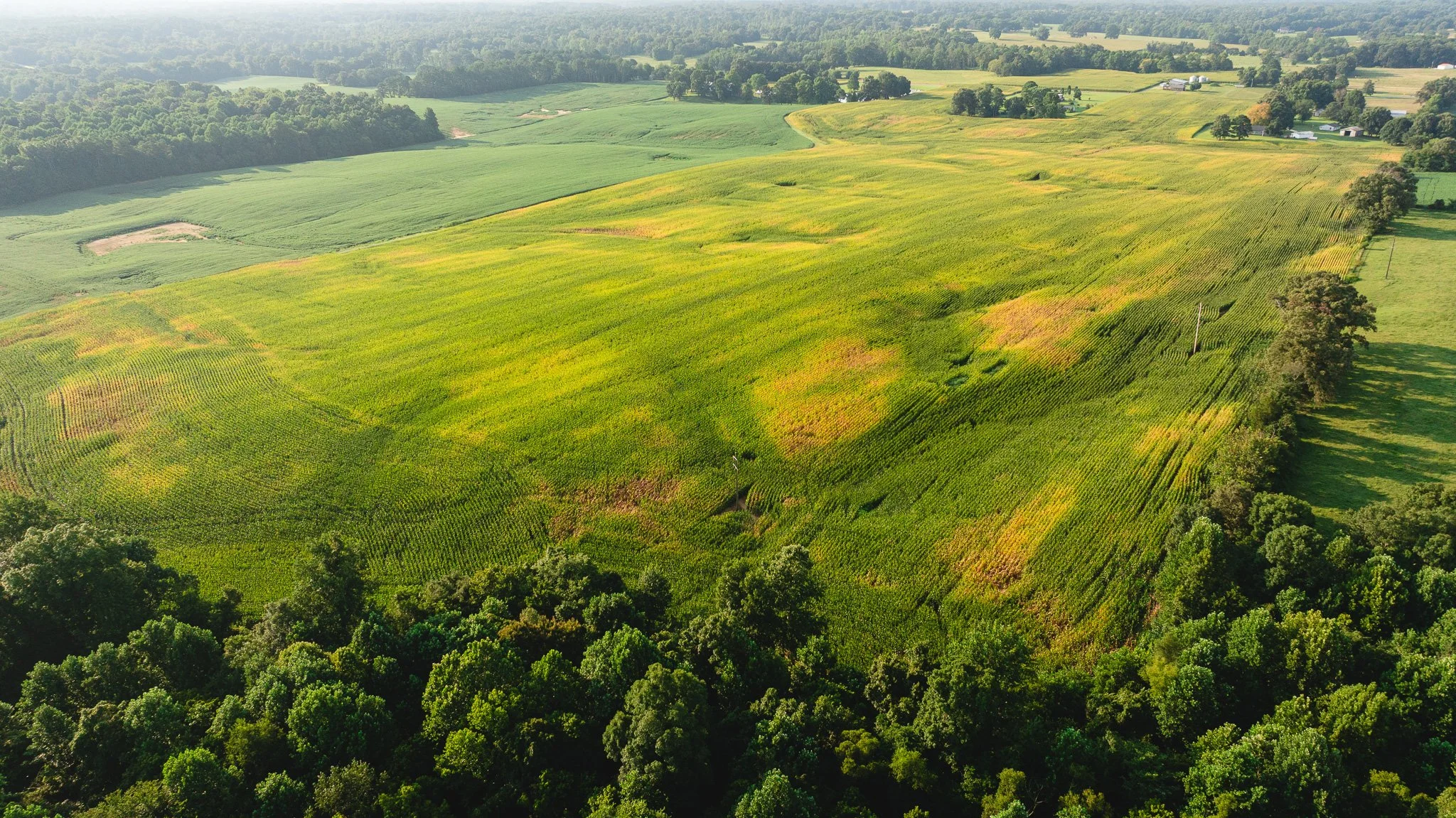 DJI_20260804151746_0057_D.jpg