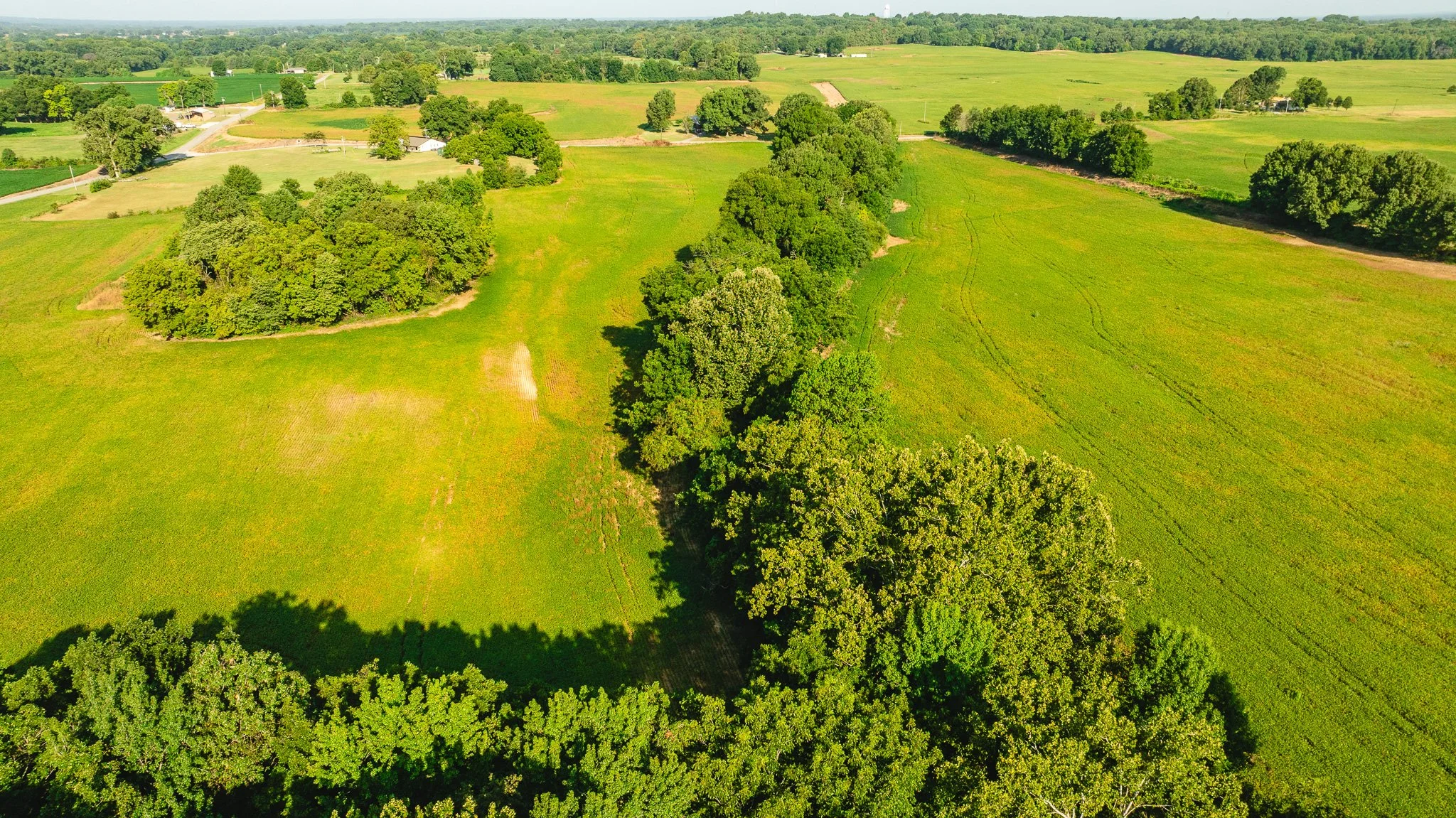 DJI_20260810155809_0045_D.jpg