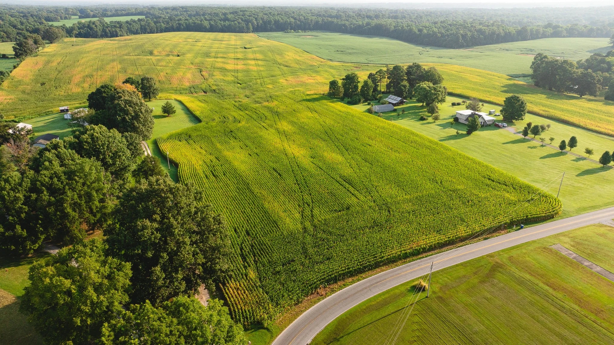 DJI_20260804151358_0047_D.jpg
