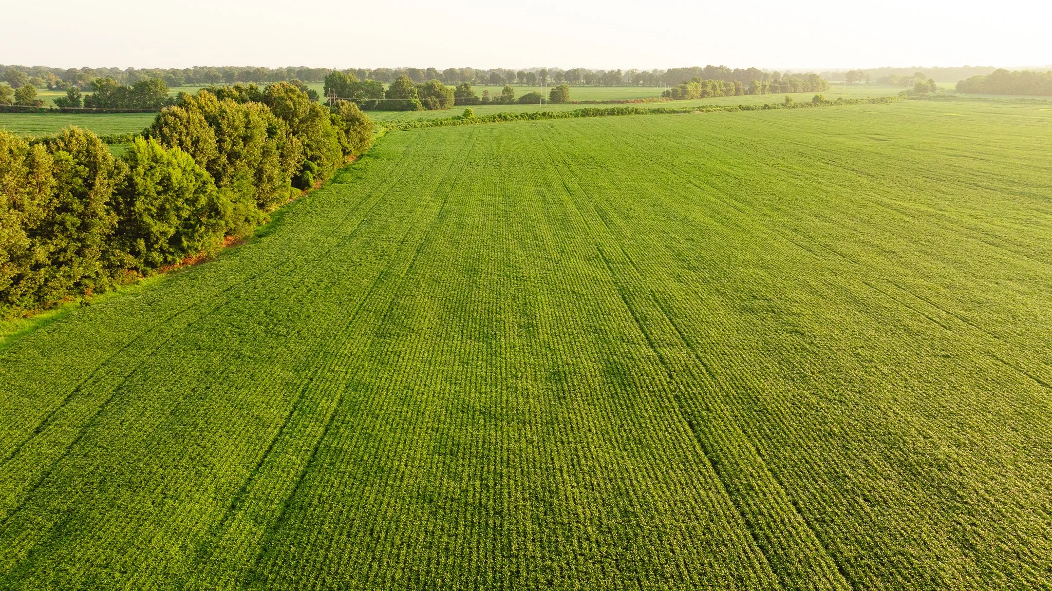 DJI_20260726140908_0053_D.jpg
