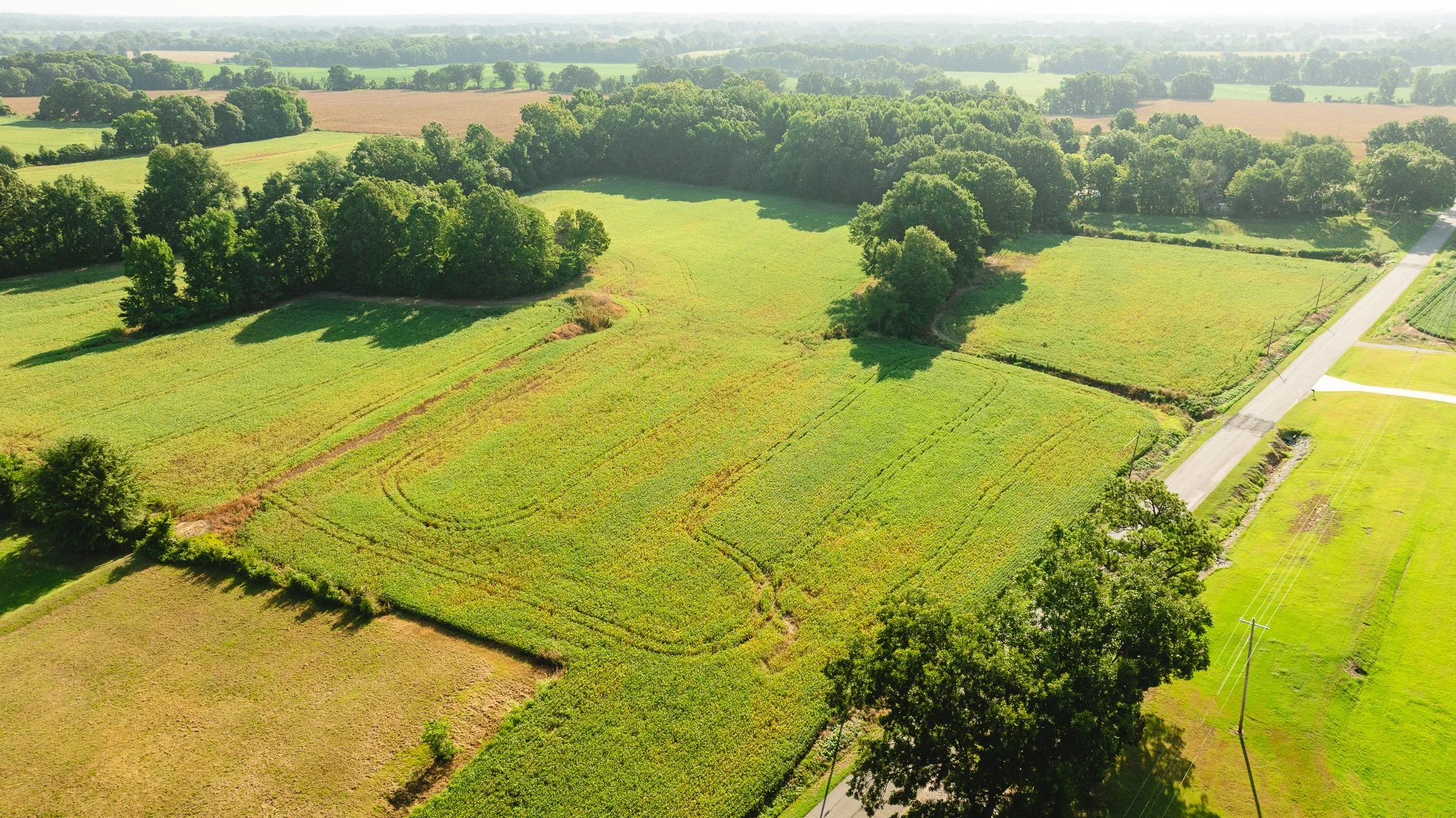 DJI_20260810155537_0040_D.jpg