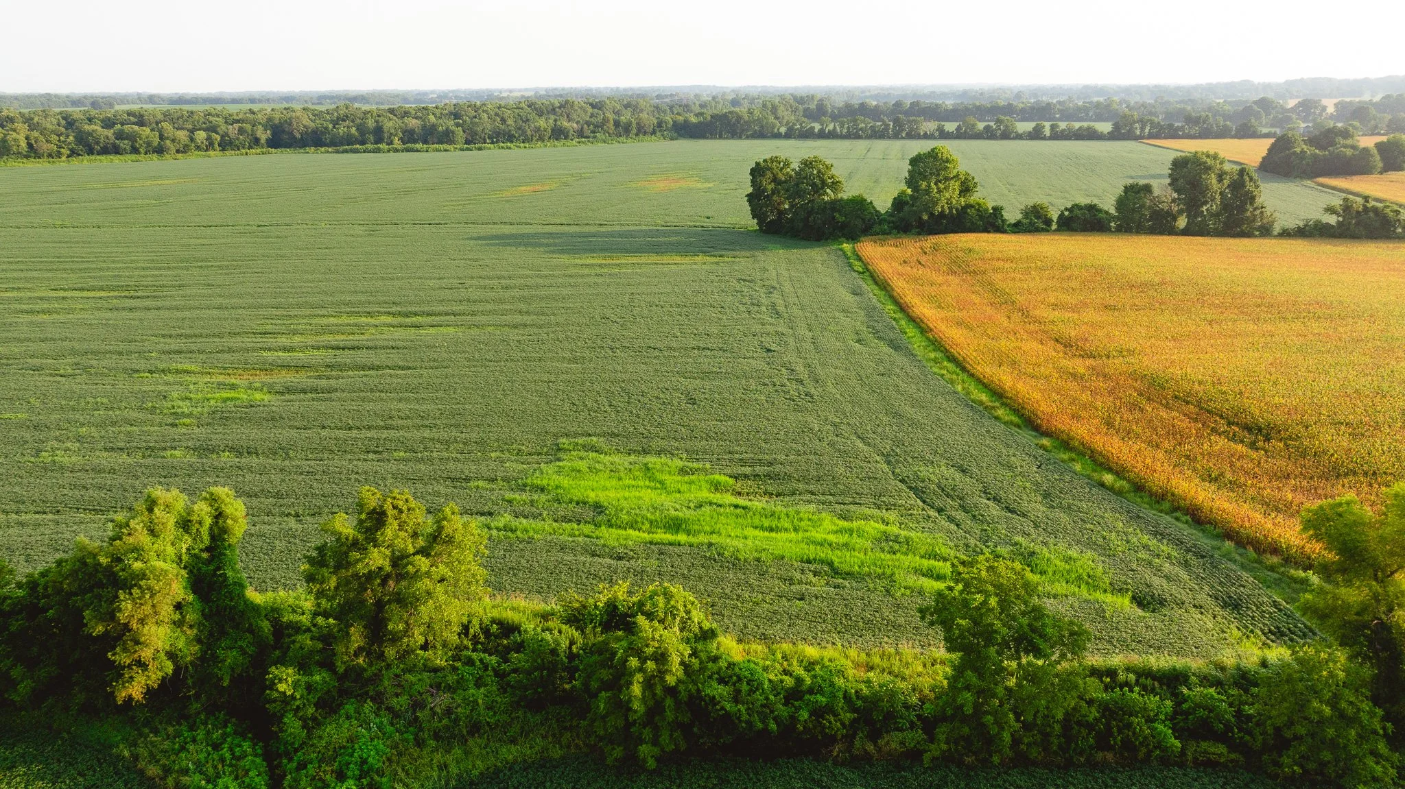 DJI_20260729143635_0051_D.jpg