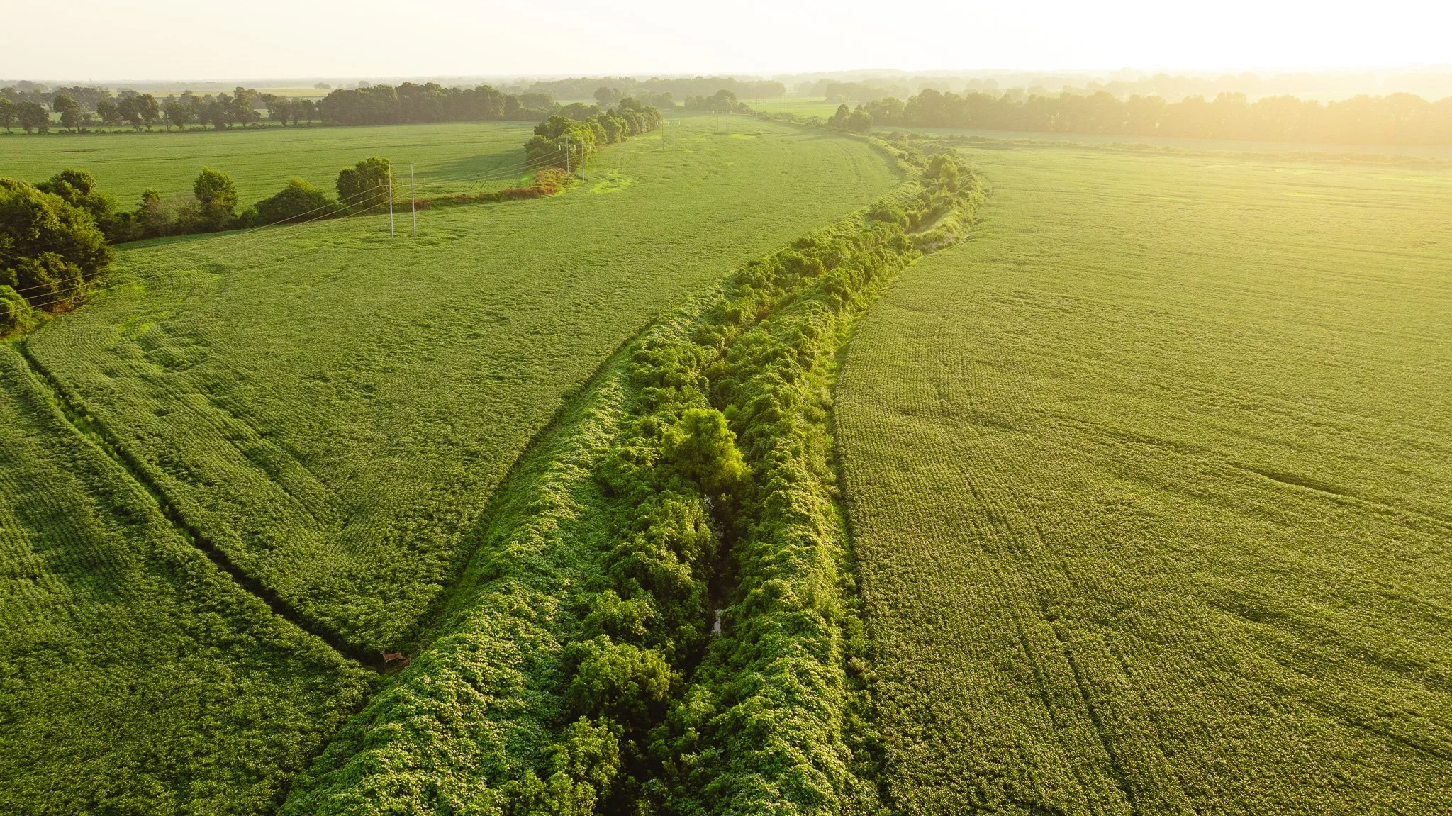 DJI_20260726141504_0065_D.jpg