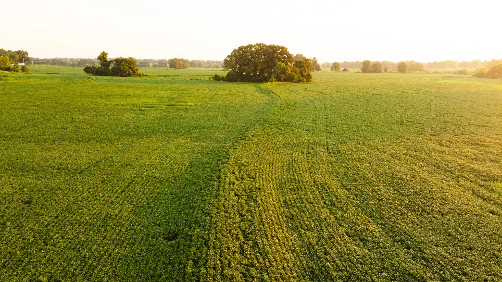 DJI_20260726135413_0024_D.jpg