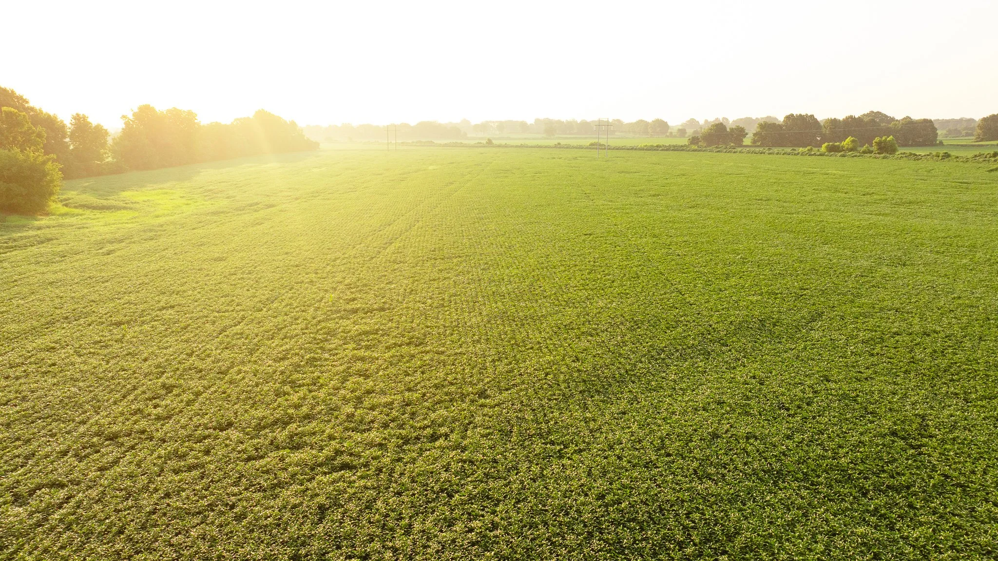 DJI_20260726141307_0061_D.jpg