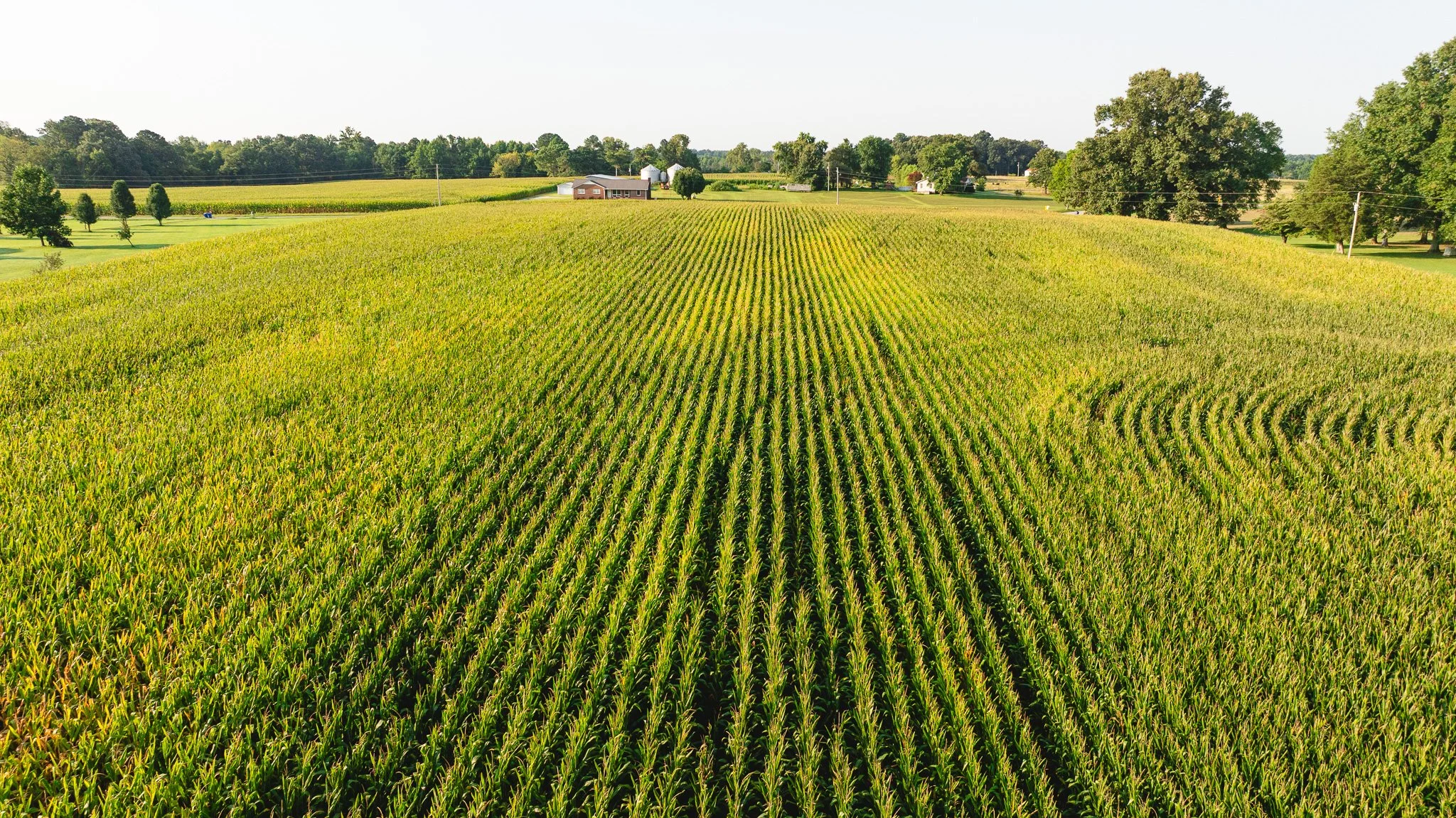 DJI_20260804151431_0049_D.jpg