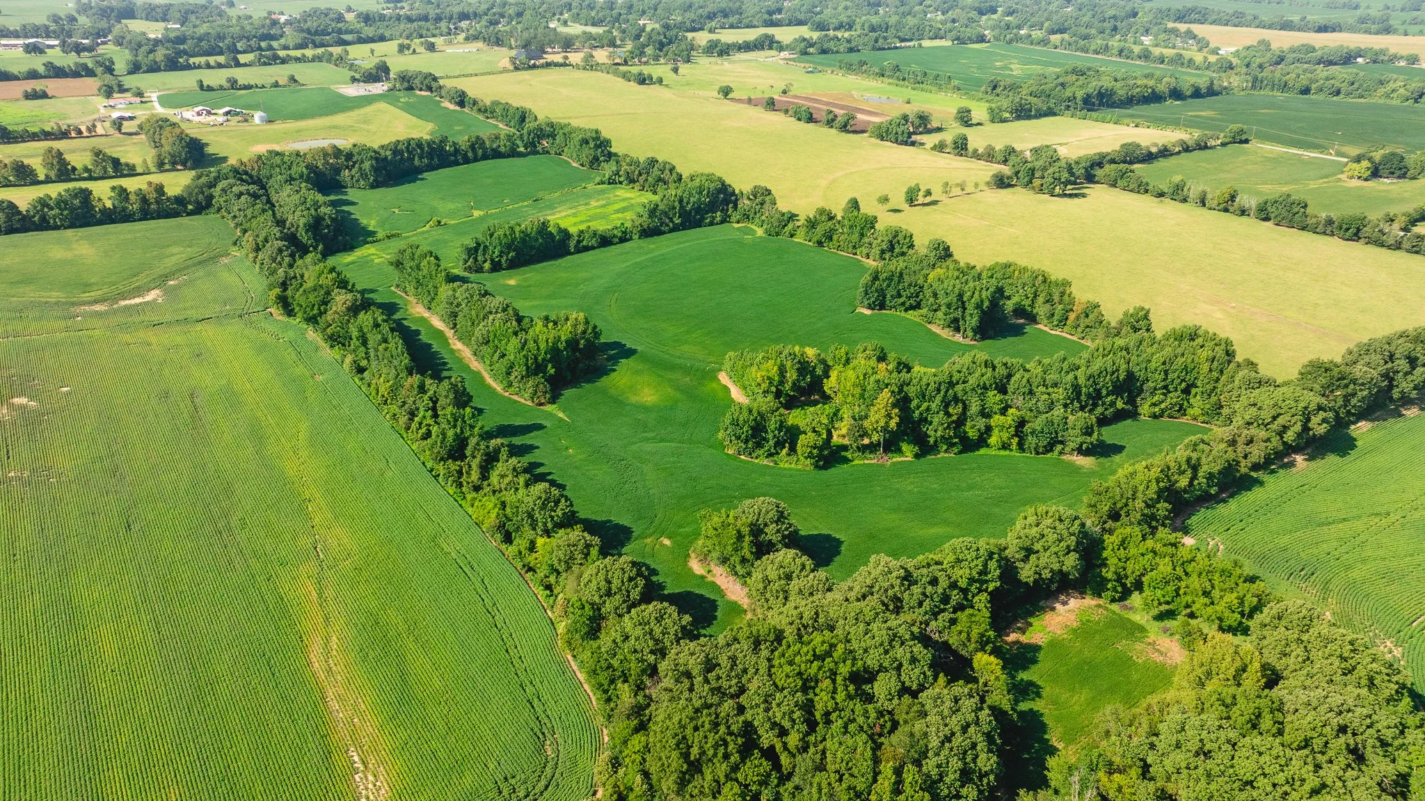 DJI_20260810170315_0089_D.jpg