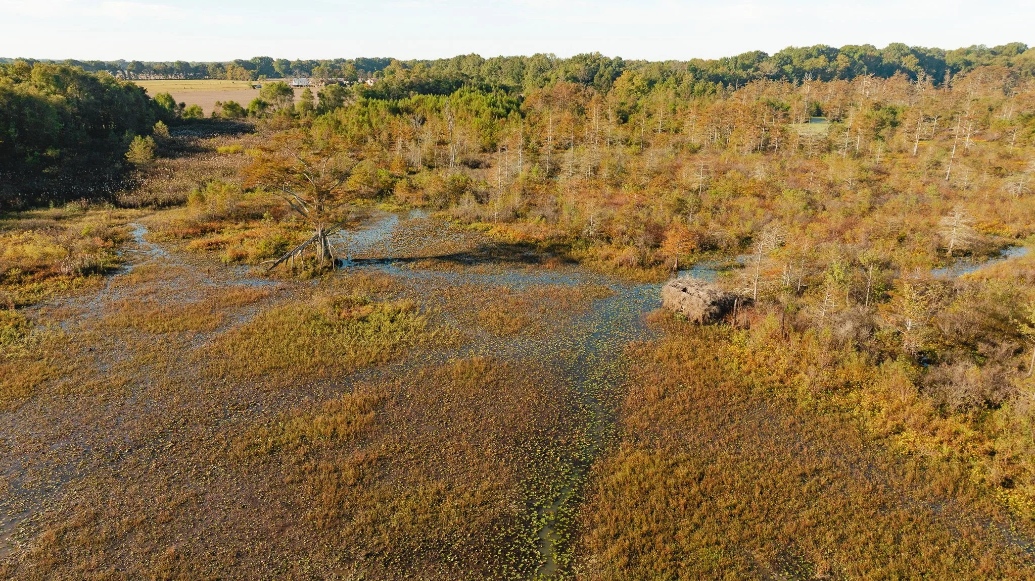 DJI_20261018155327_0026_D.jpg