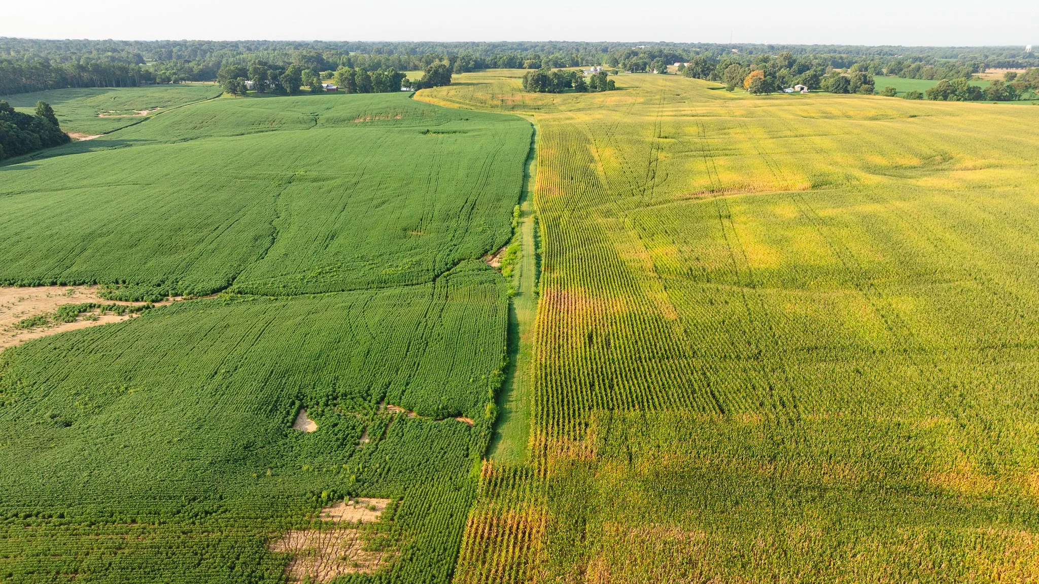 DJI_20260804151841_0060_D.jpg