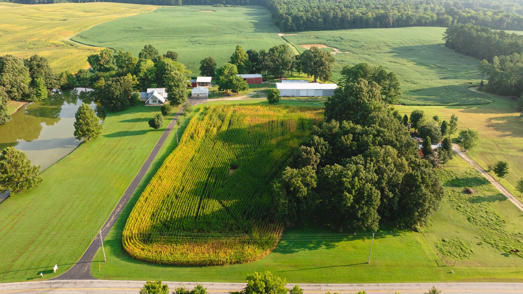 DJI_20260804150817_0033_D.jpg