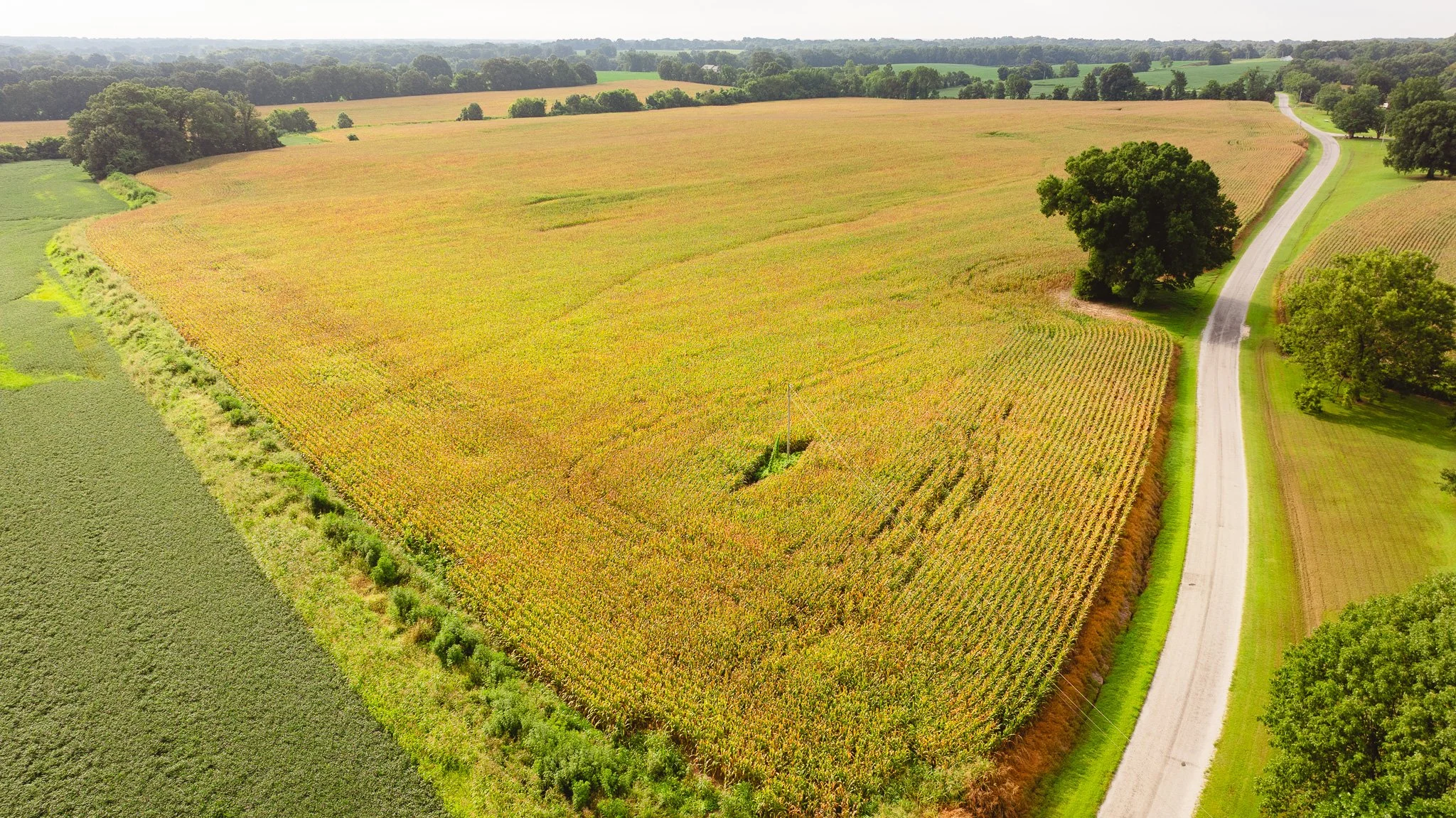 DJI_20260729161342_0096_D.jpg