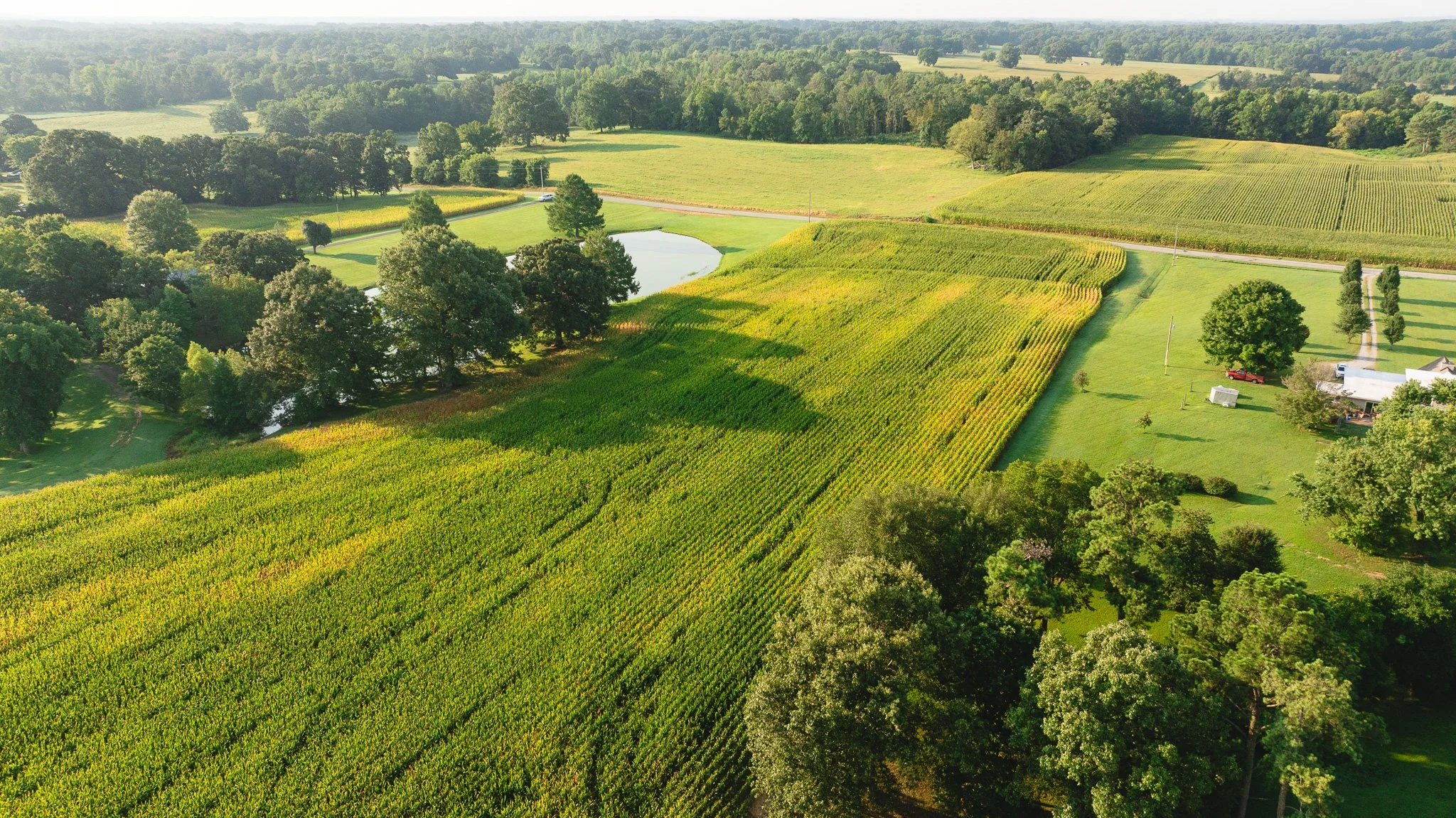 DJI_20260804150645_0030_D.jpg