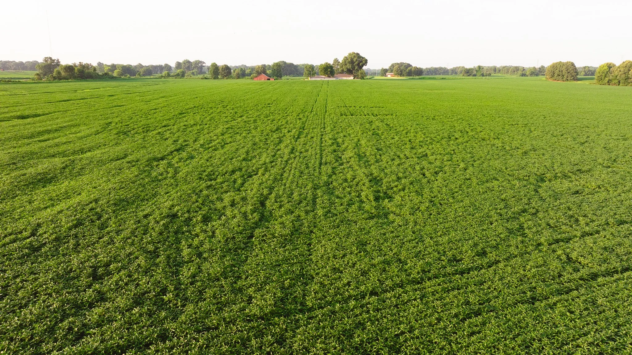 DJI_20260726141935_0080_D.jpg