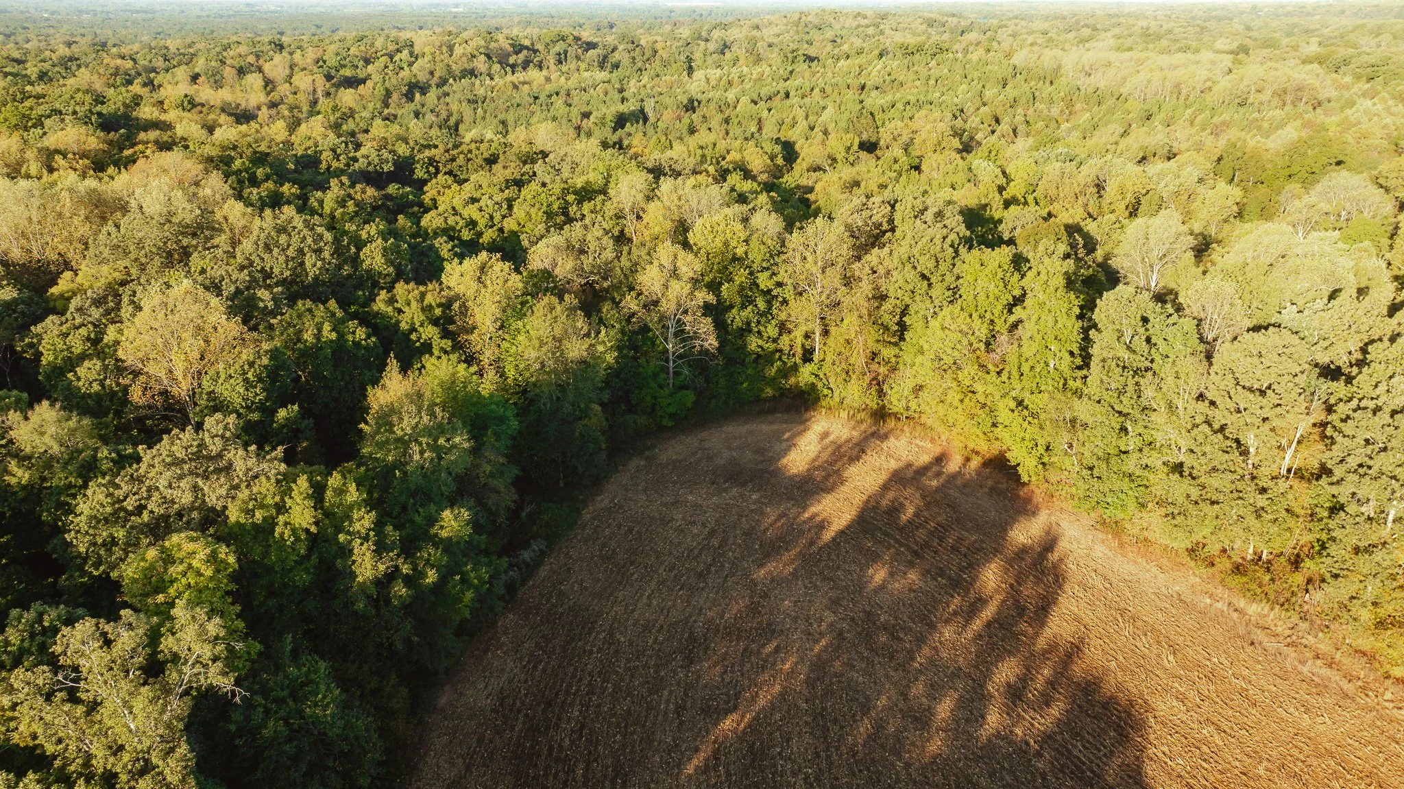 DJI_20261007150712_0016_D.jpg