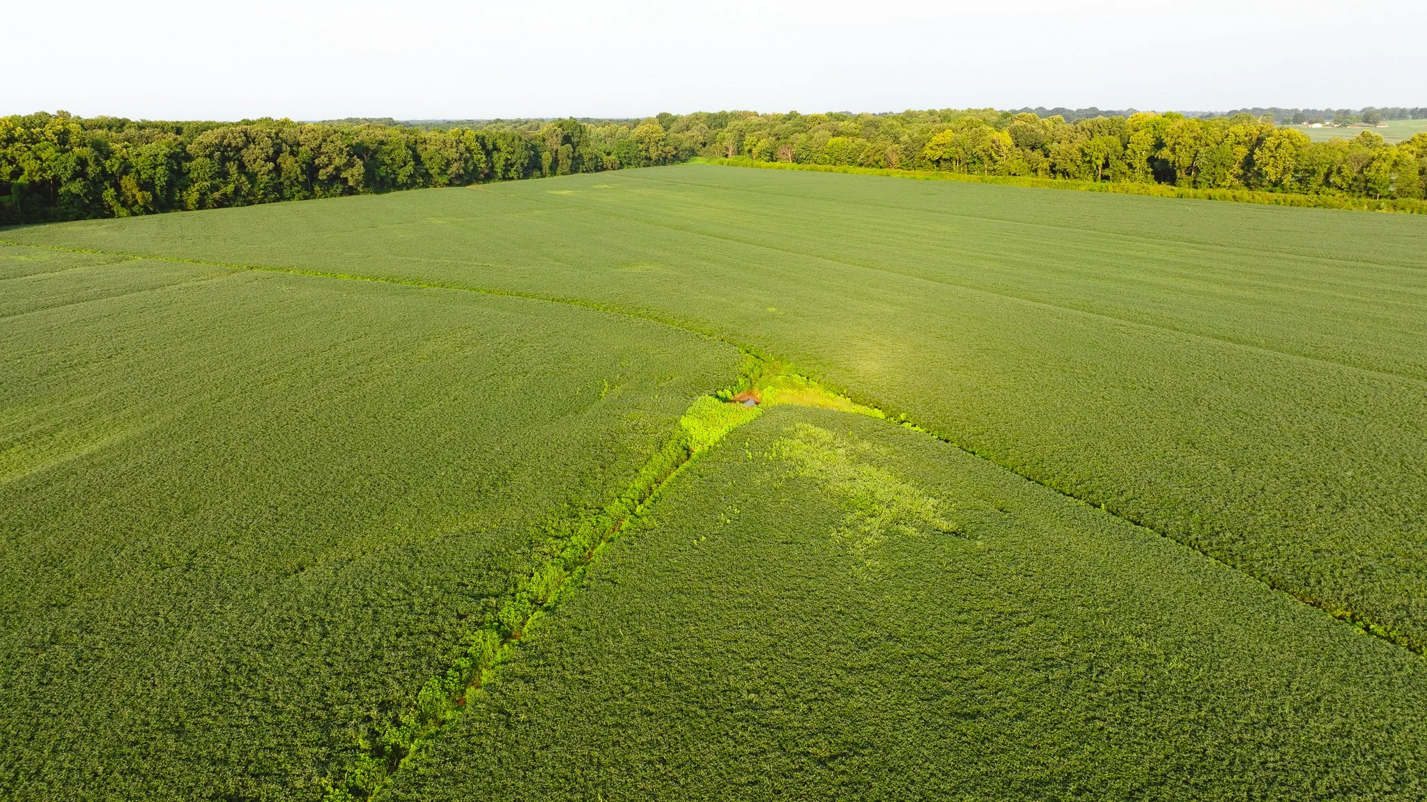 DJI_20260729143749_0055_D.jpg