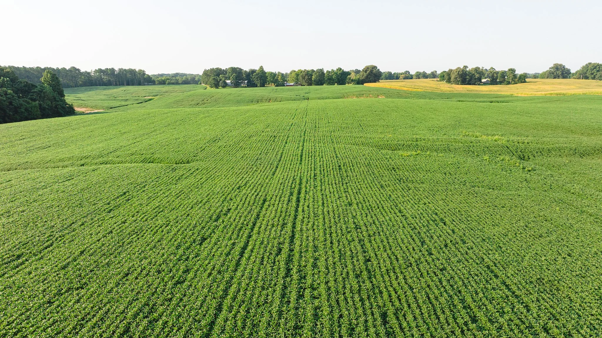 DJI_20260804151938_0063_D.jpg