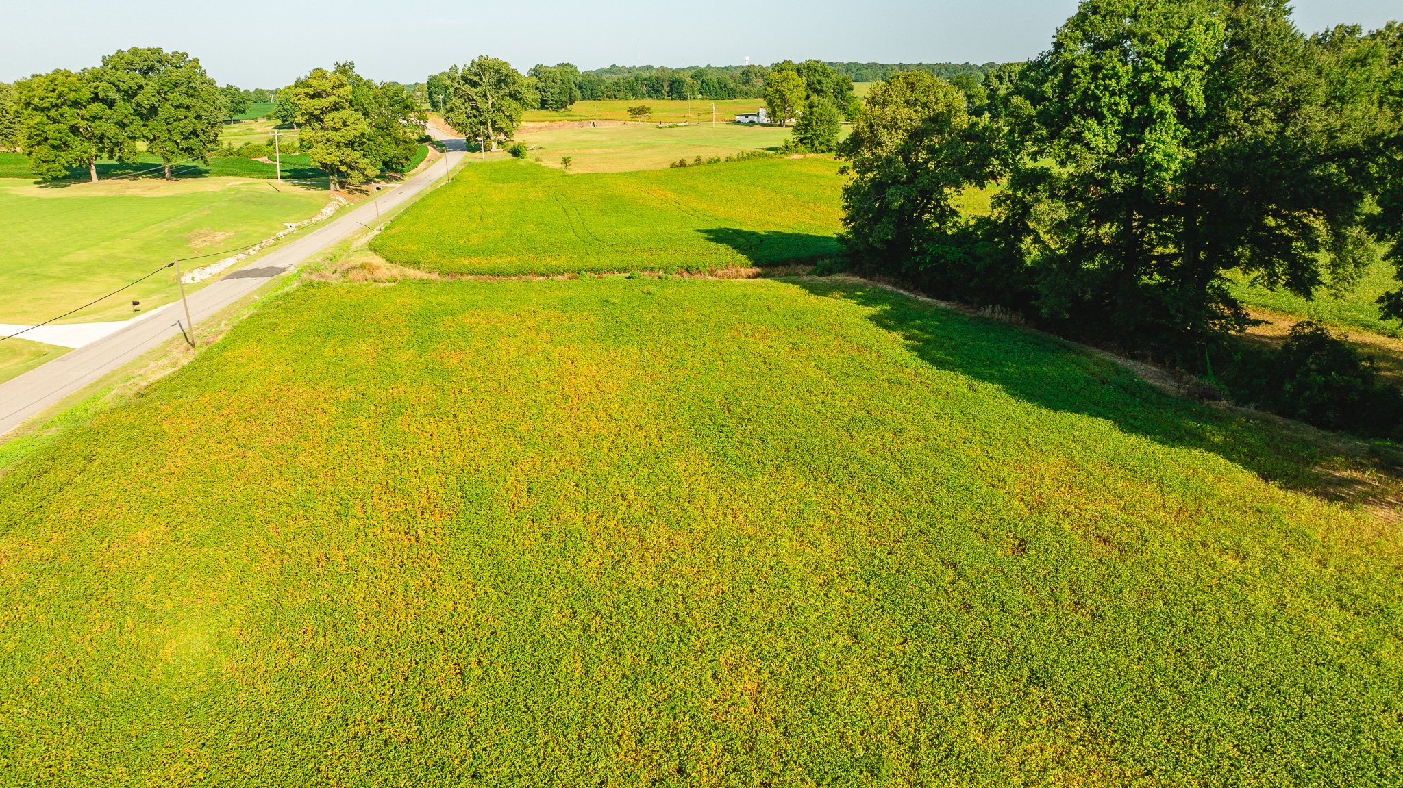 DJI_20260810155505_0039_D.jpg