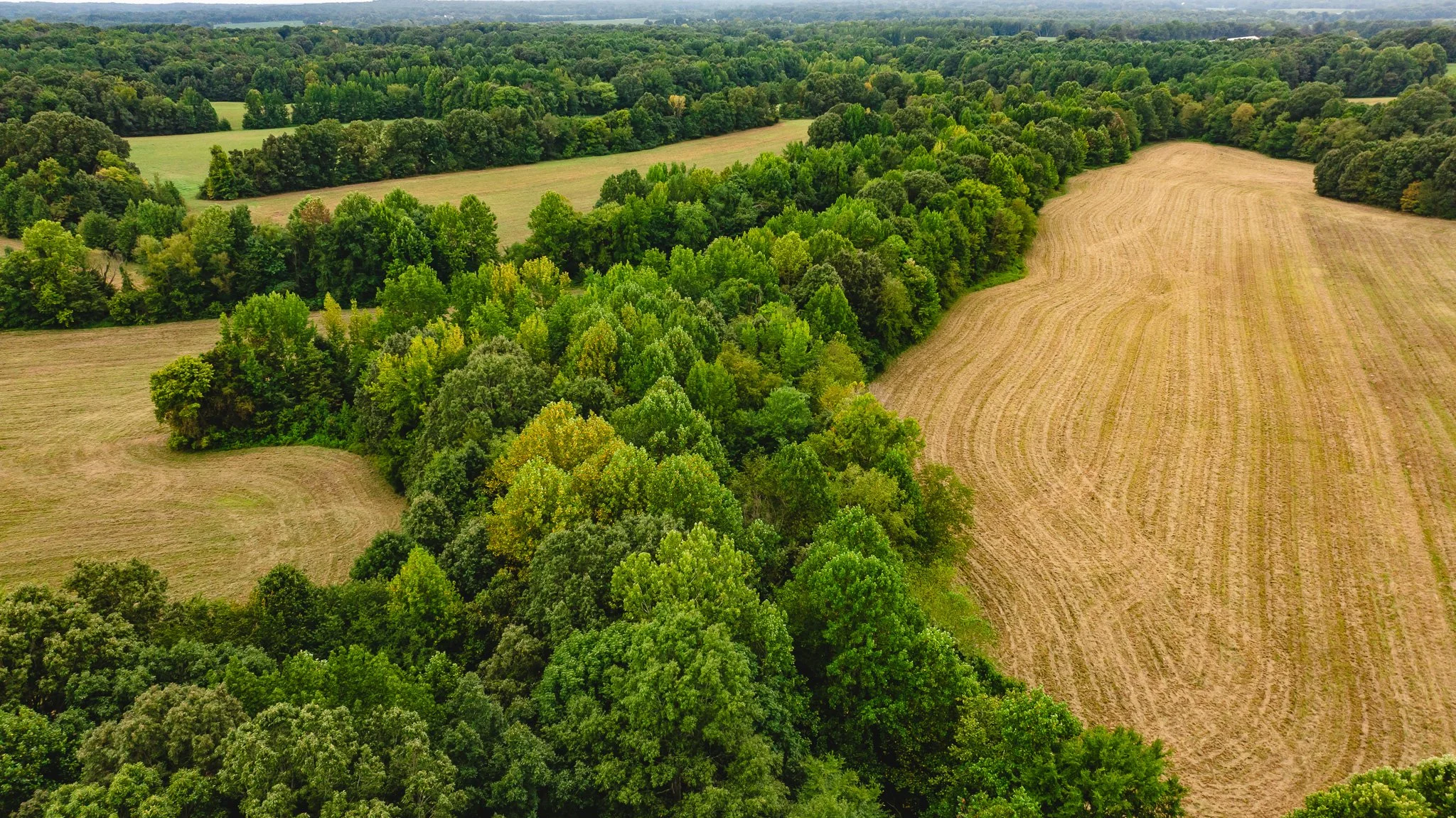 DJI_20260817171801_0016_D.jpg