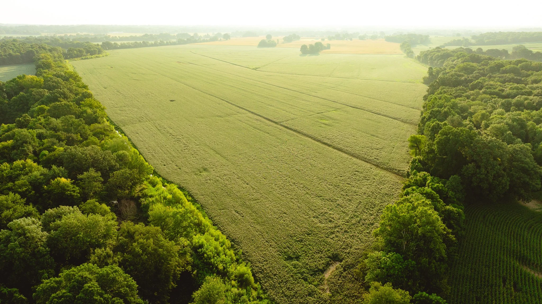 DJI_20260729143905_0058_D.jpg