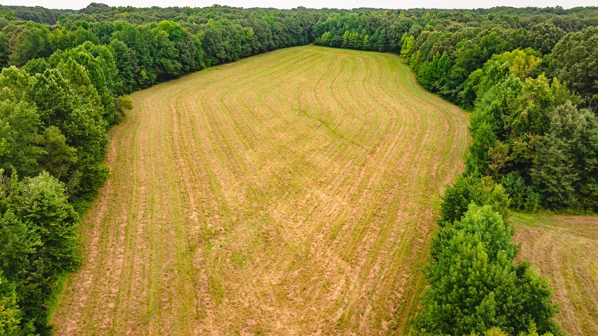 DJI_20260817172010_0021_D.jpg