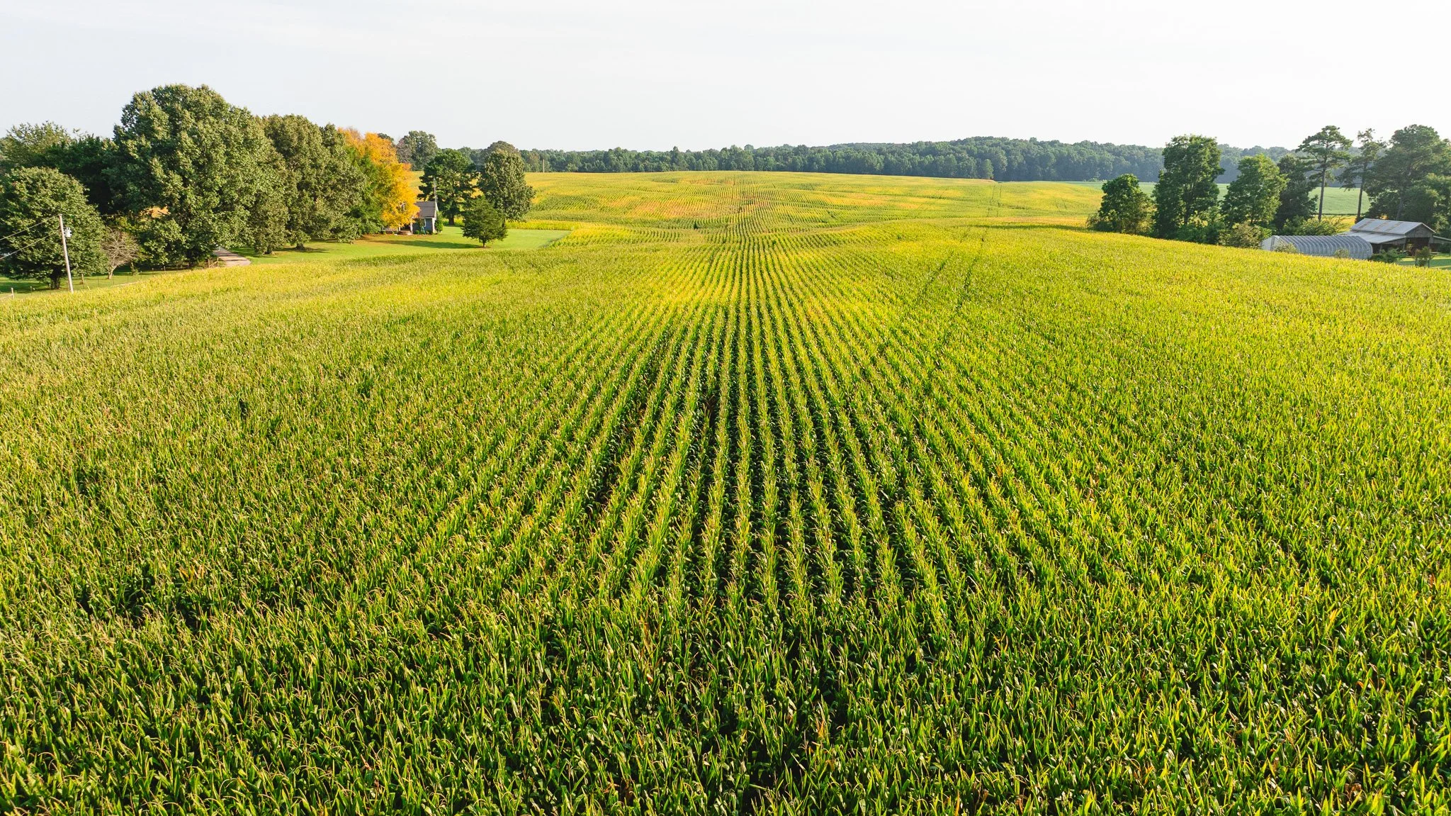 DJI_20260804151412_0048_D.jpg