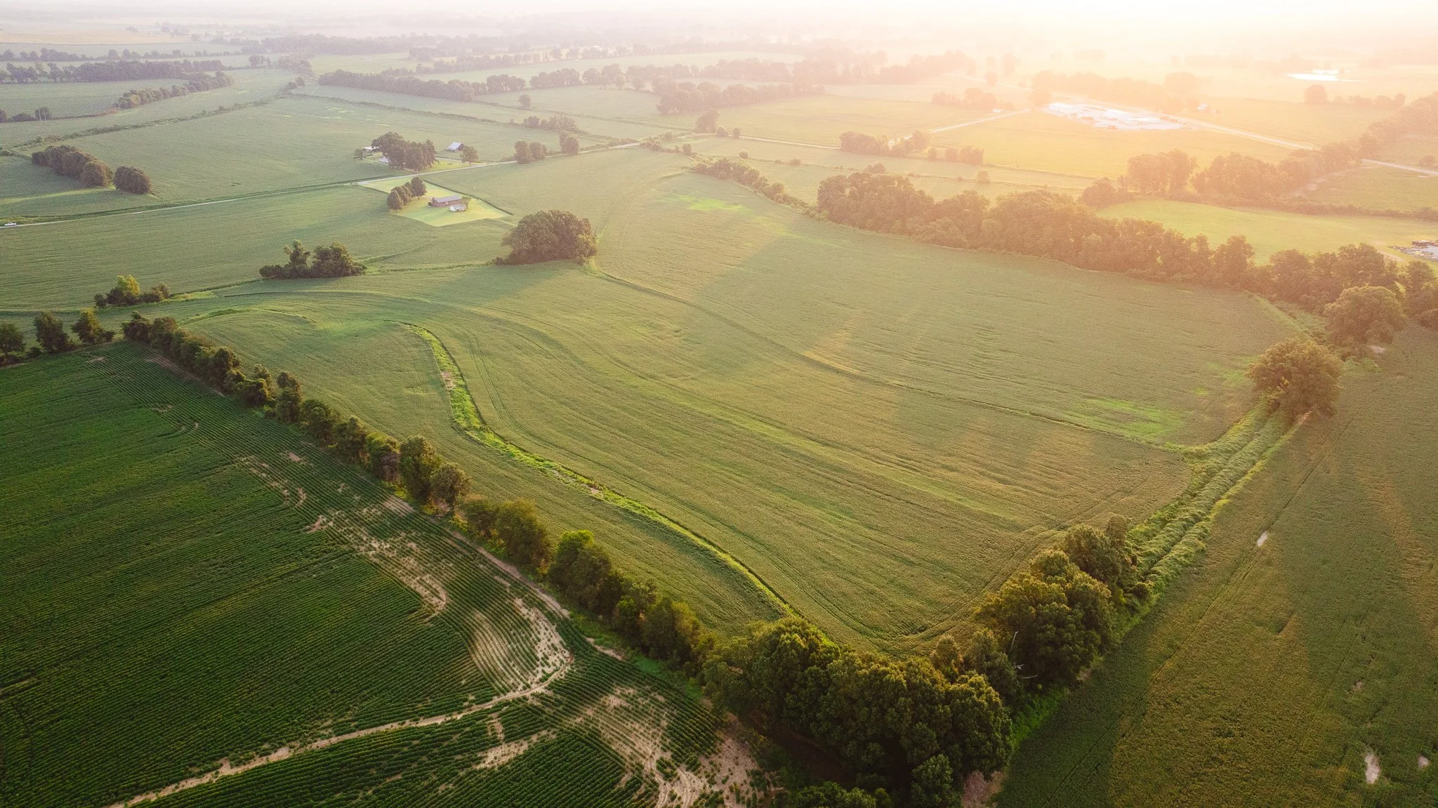 DJI_20260726135115_0019_D.jpg