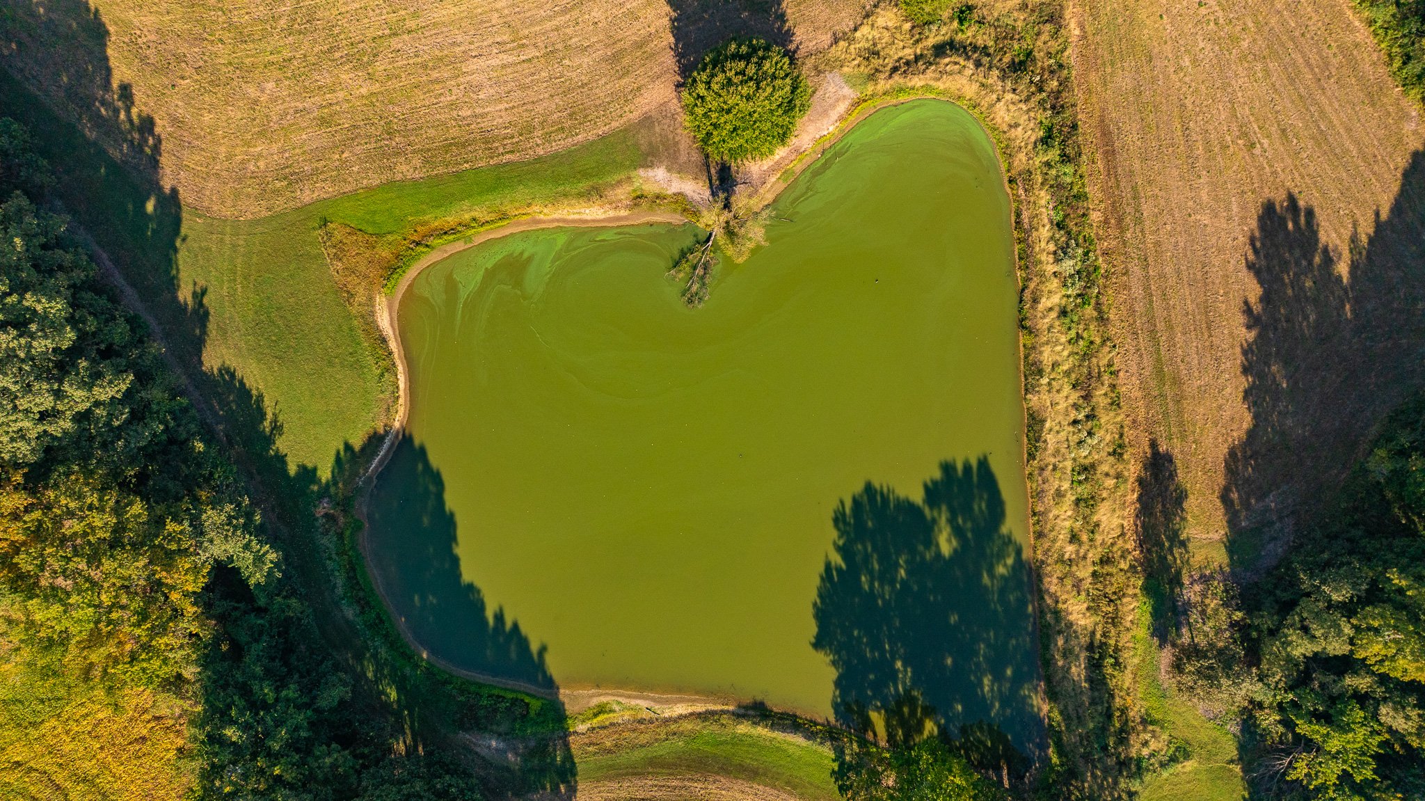 DJI_20260929161352_0112_D.jpg