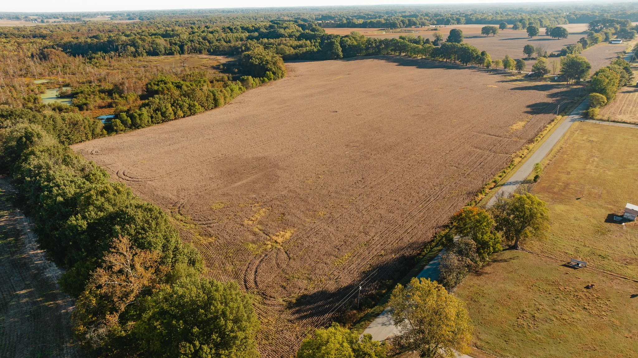 DJI_20261018154746_0013_D.jpg