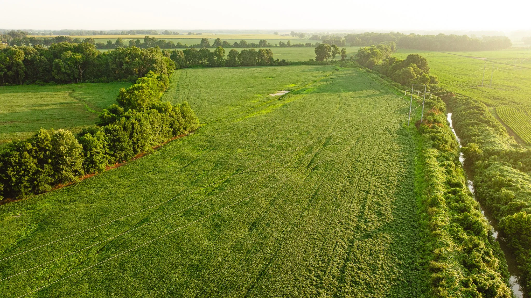 DJI_20260726141612_0068_D.jpg