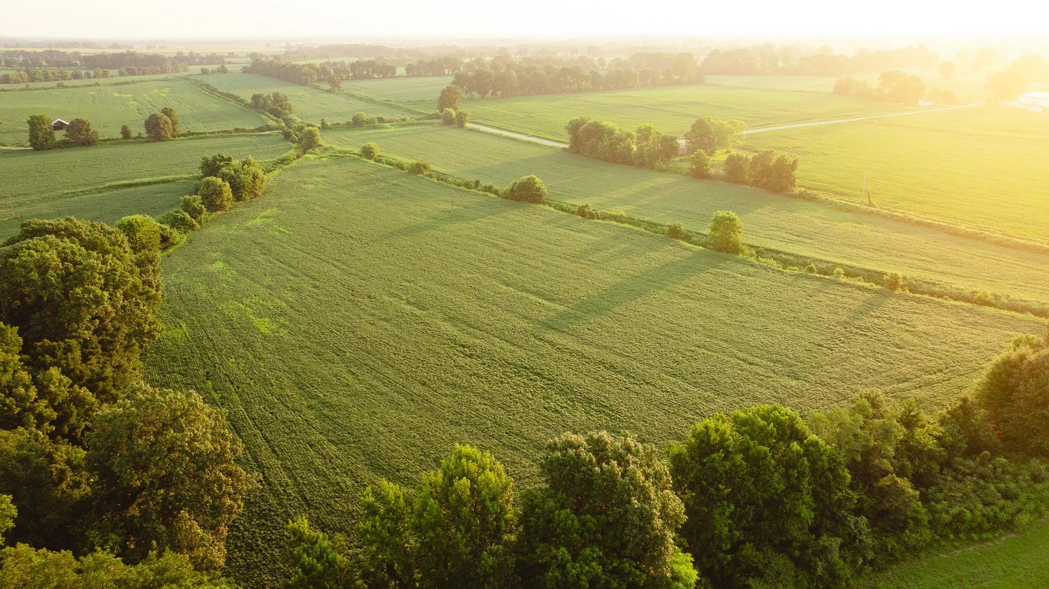 DJI_20260726140113_0041_D.jpg